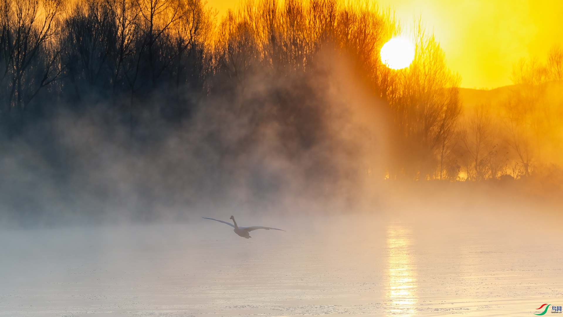 0H0A9277.jpg