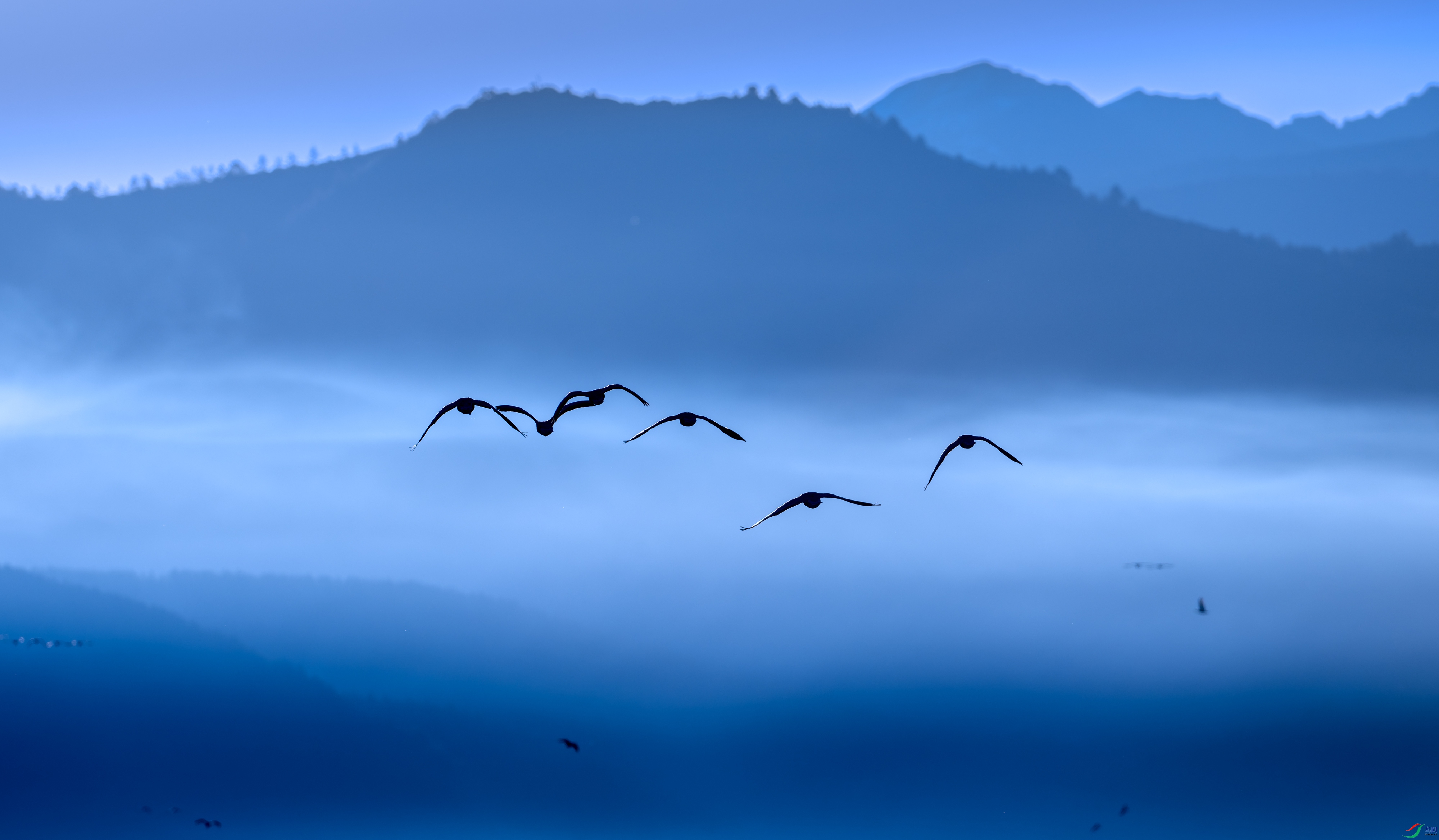 DSC_5160-11.jpg