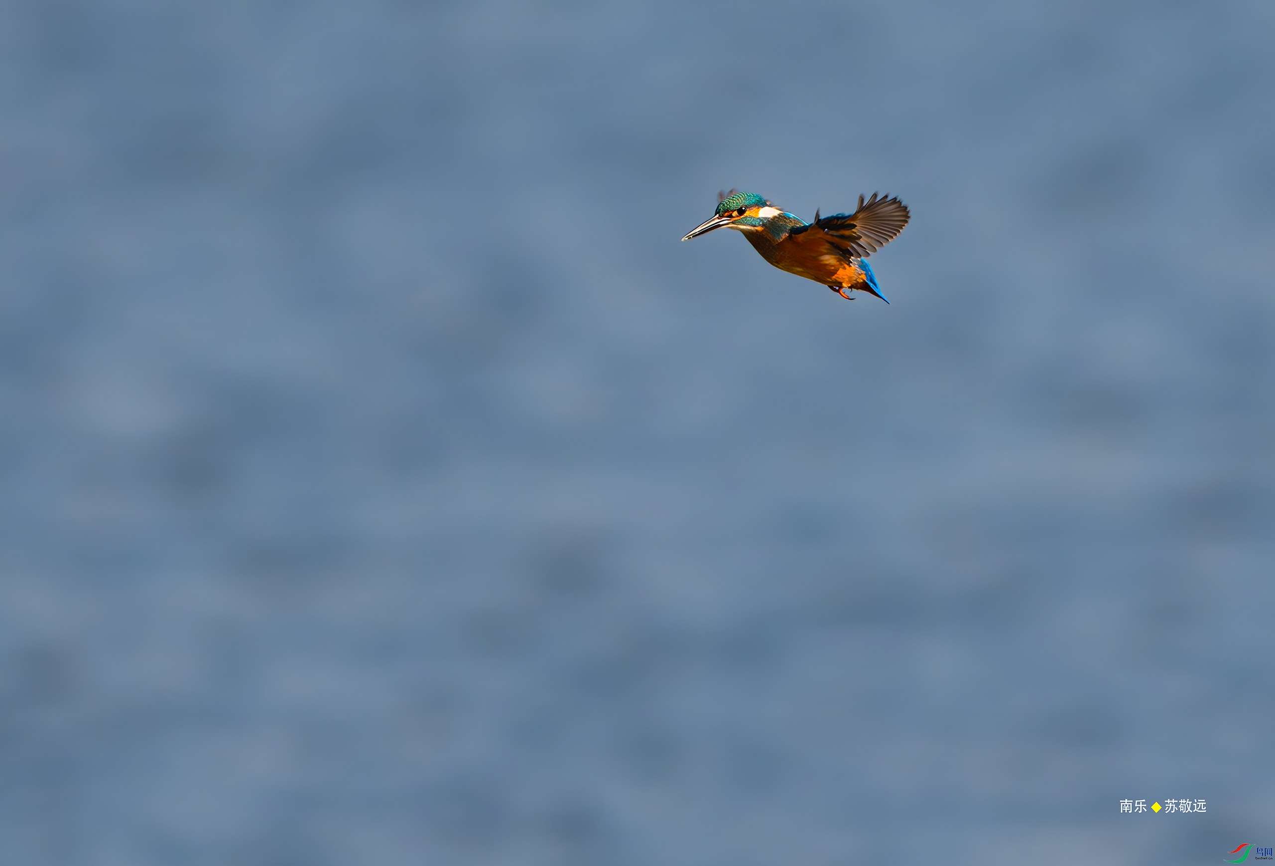 _DSC4294-DxO_С.jpg