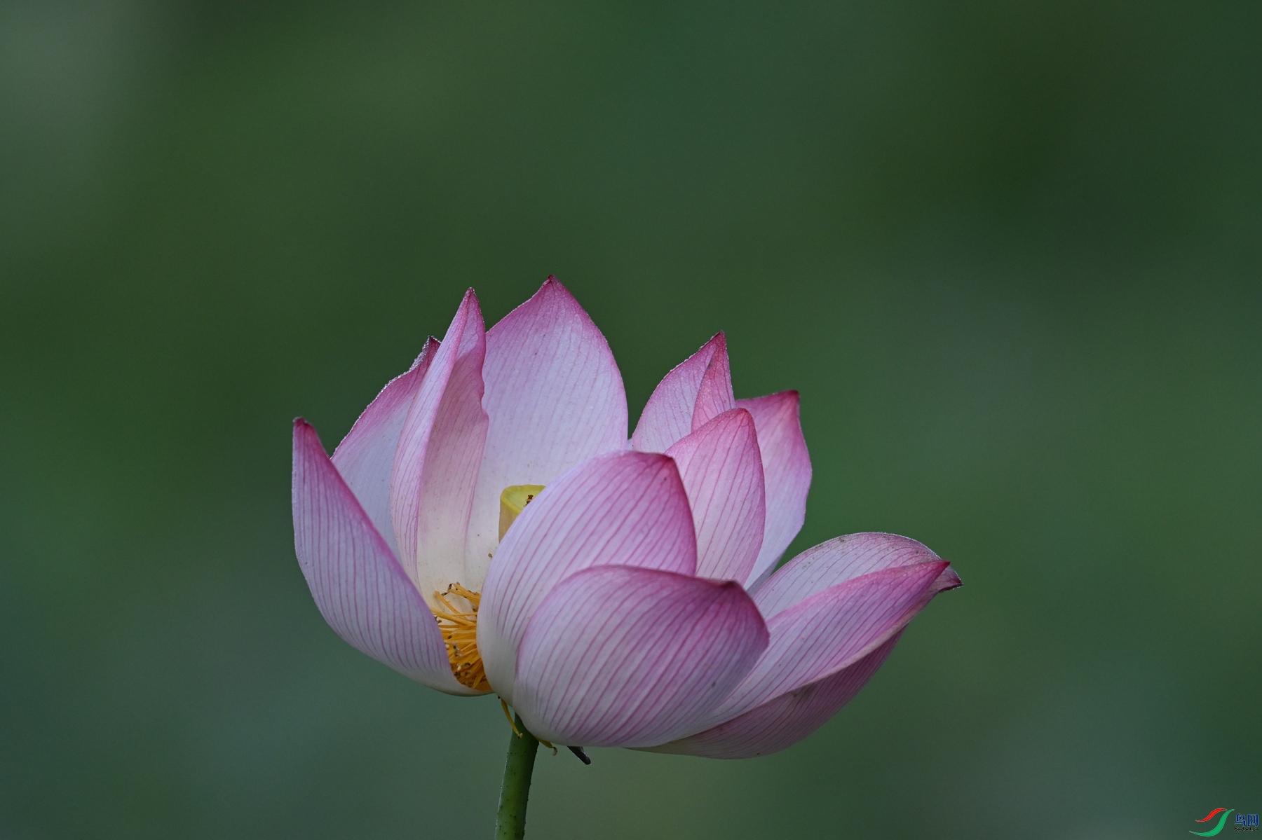 DSC_4046.JPG