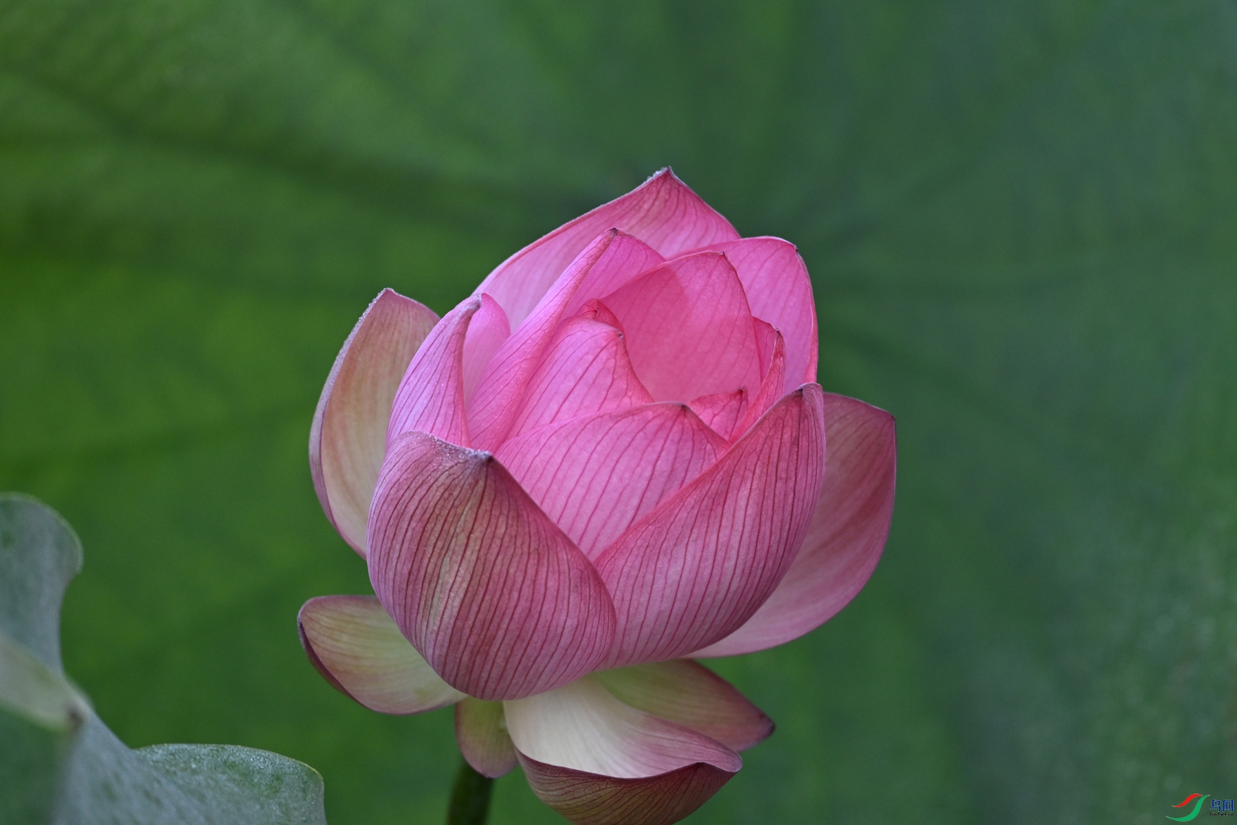 DSC_4060.JPG