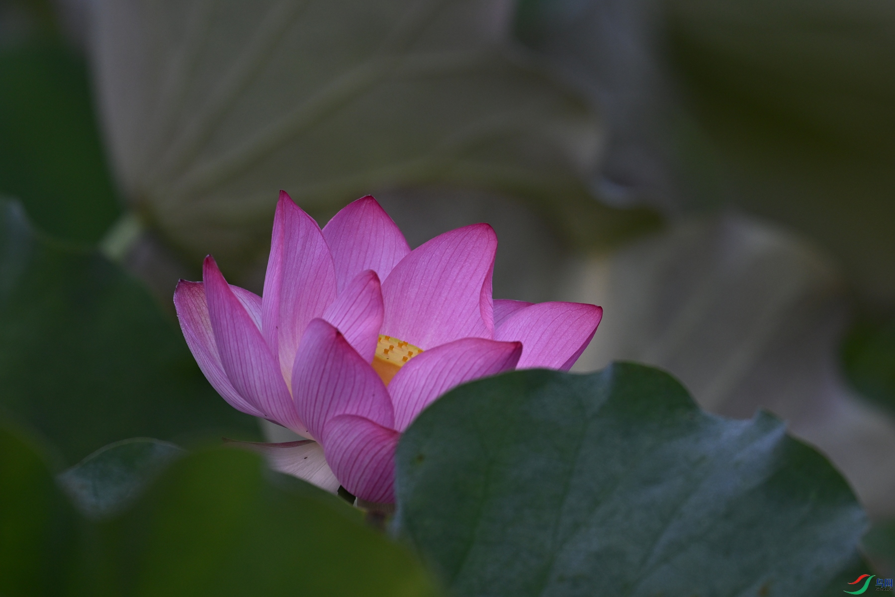 DSC_4064.JPG