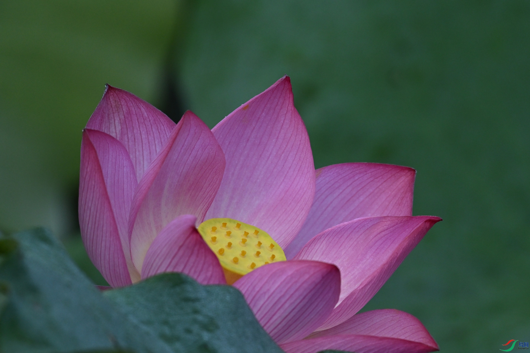 DSC_4049.JPG
