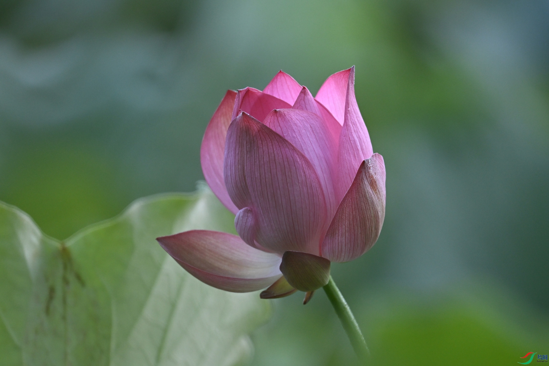 DSC_4057.JPG
