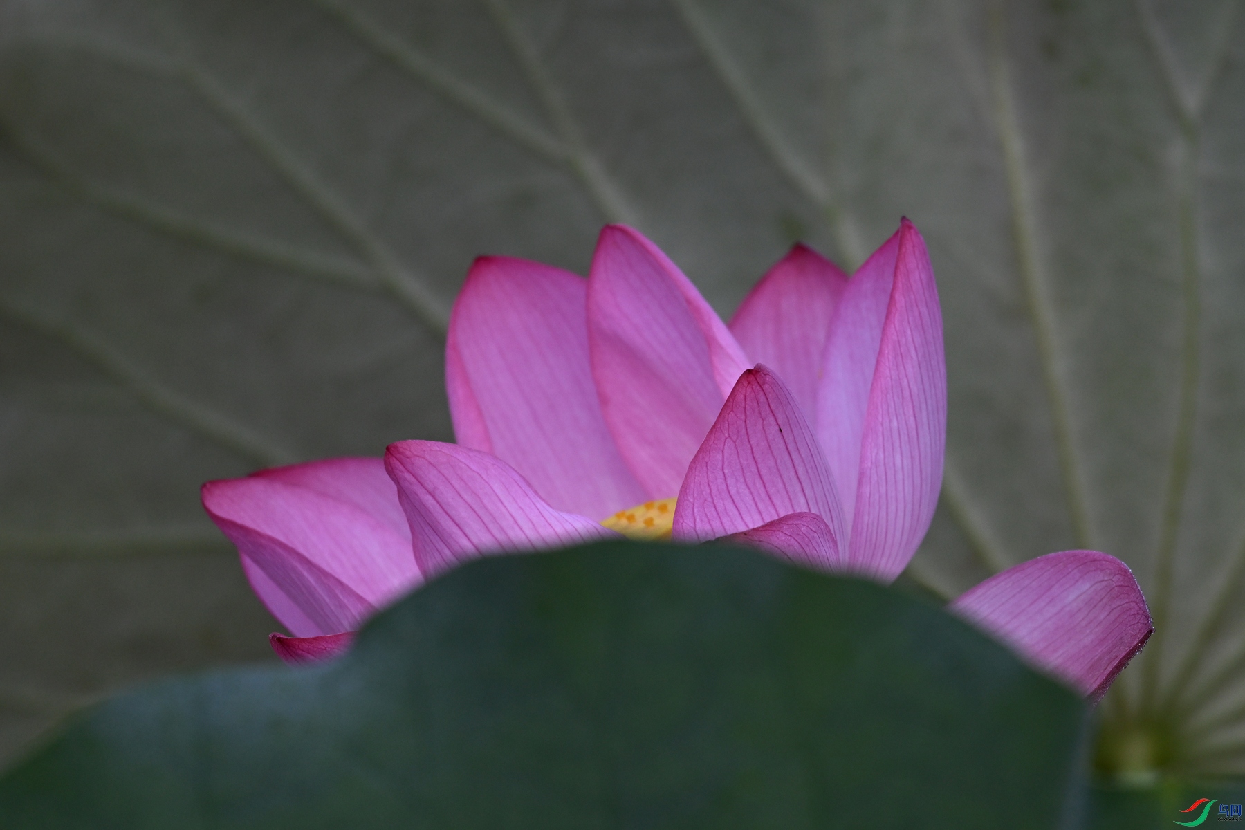 DSC_4063.JPG