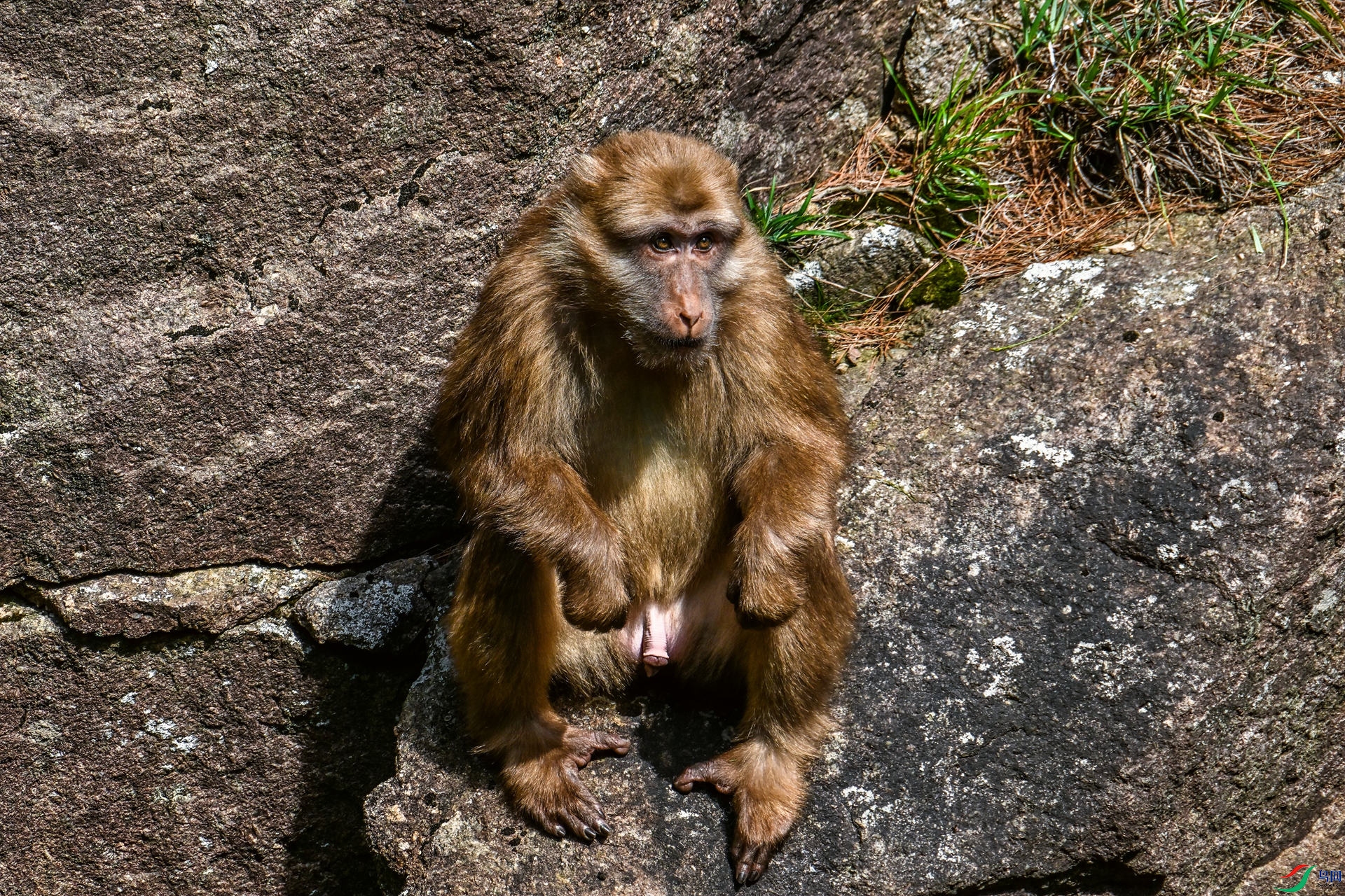 DSC_9133_����.jpg