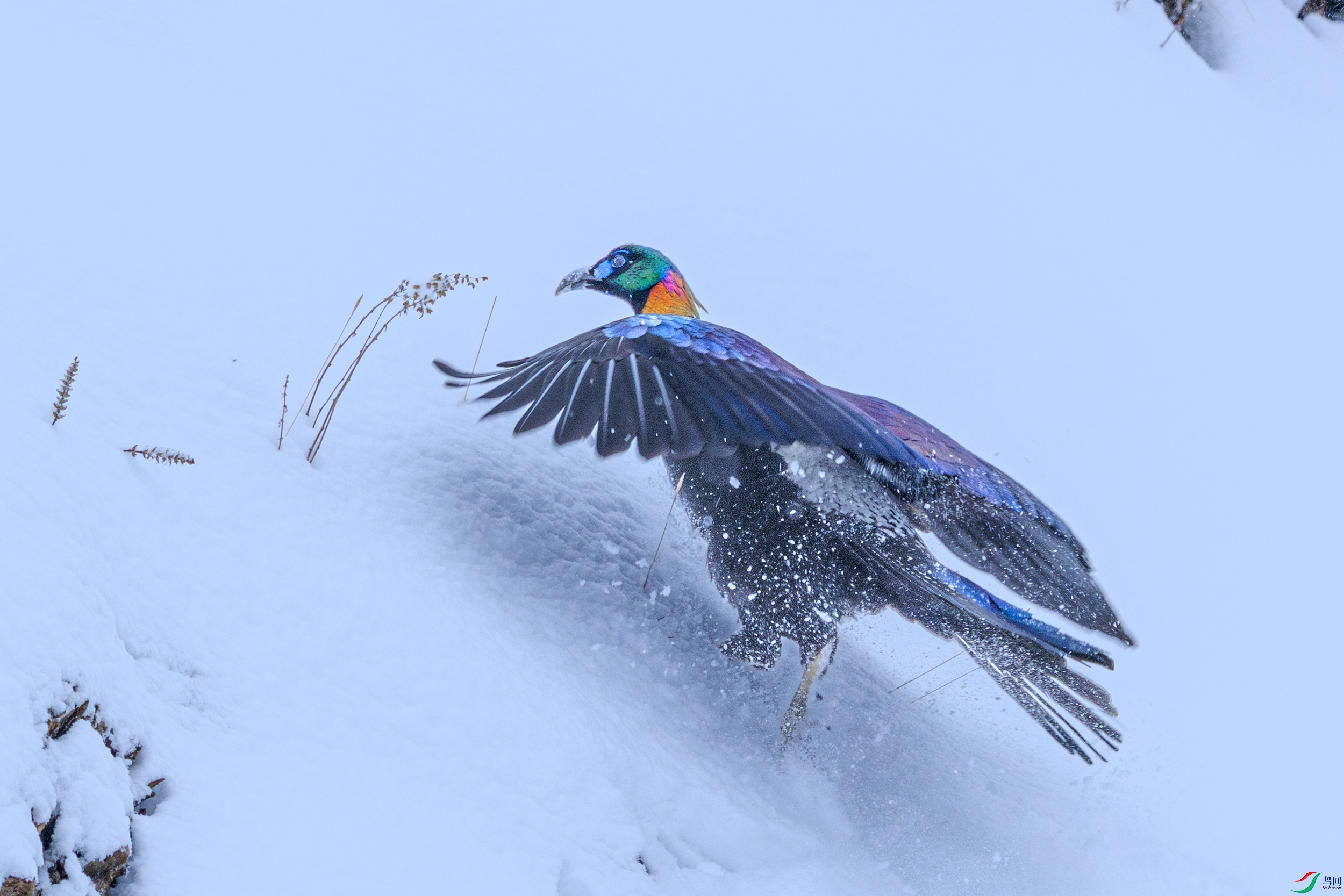 ��β����089A8825.jpg