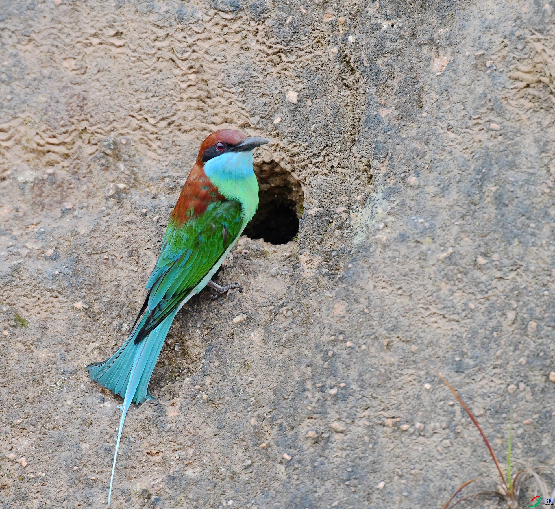 DSC_8646.jpg