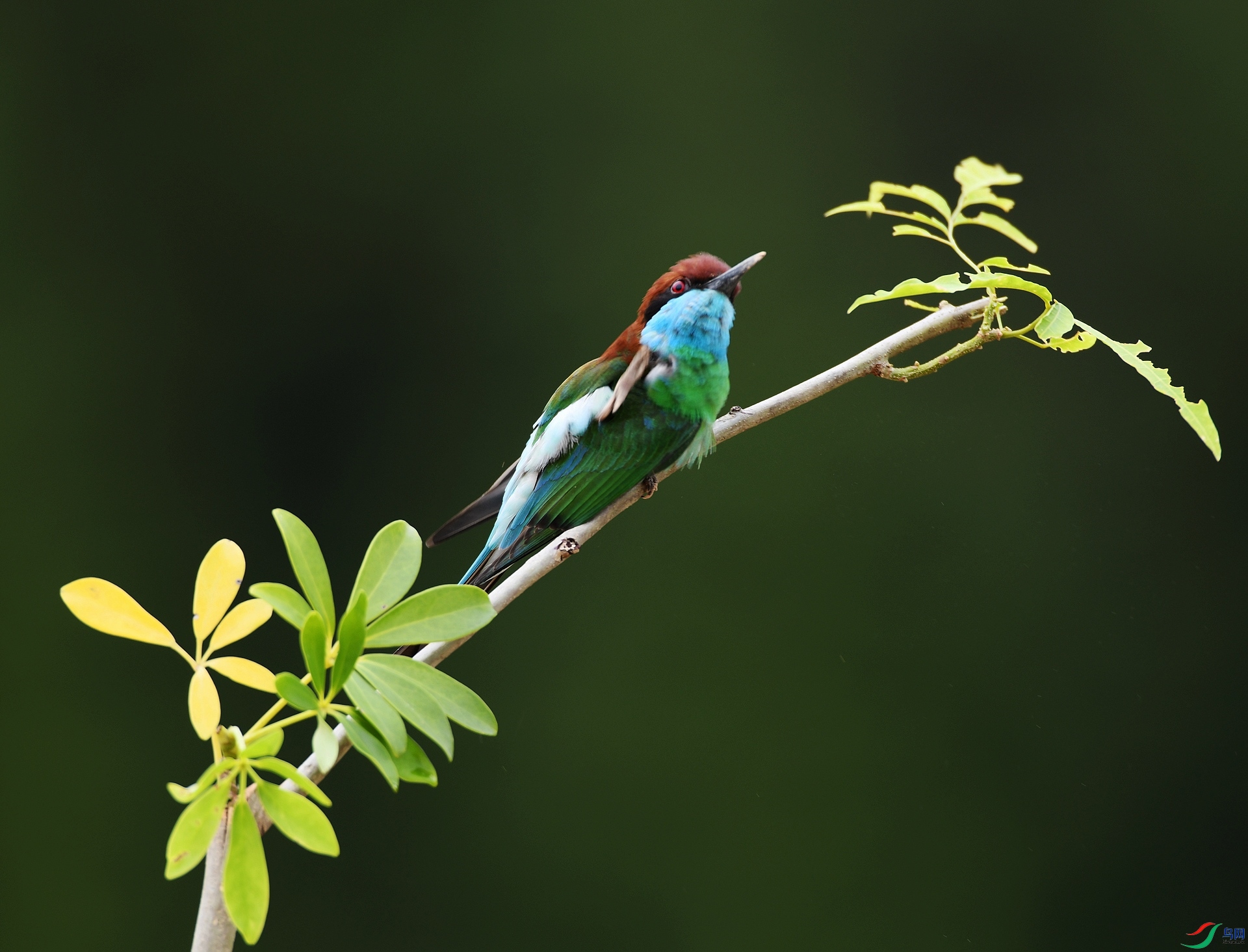 DSC_5841.jpg