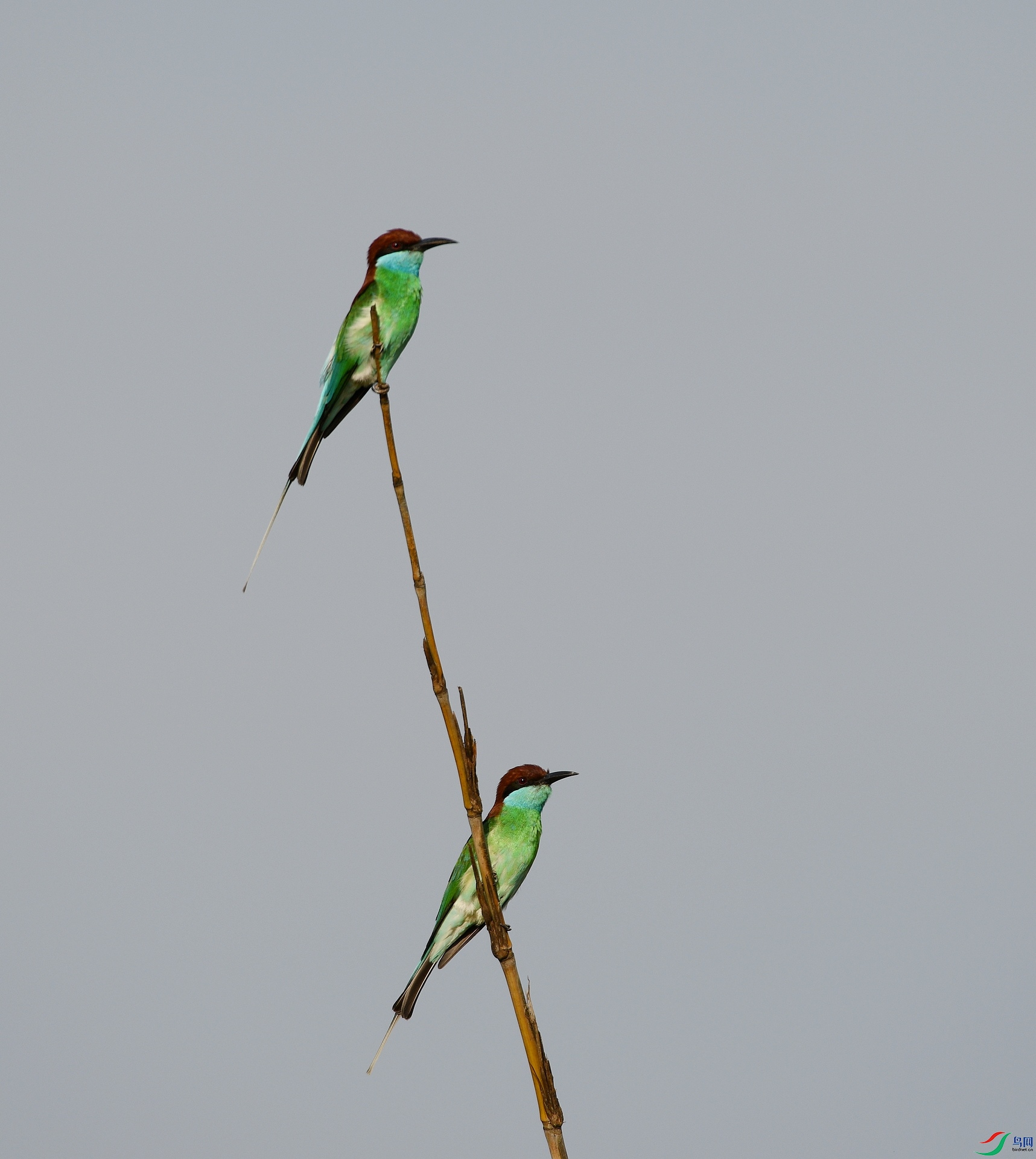 DSC_3130.jpg
