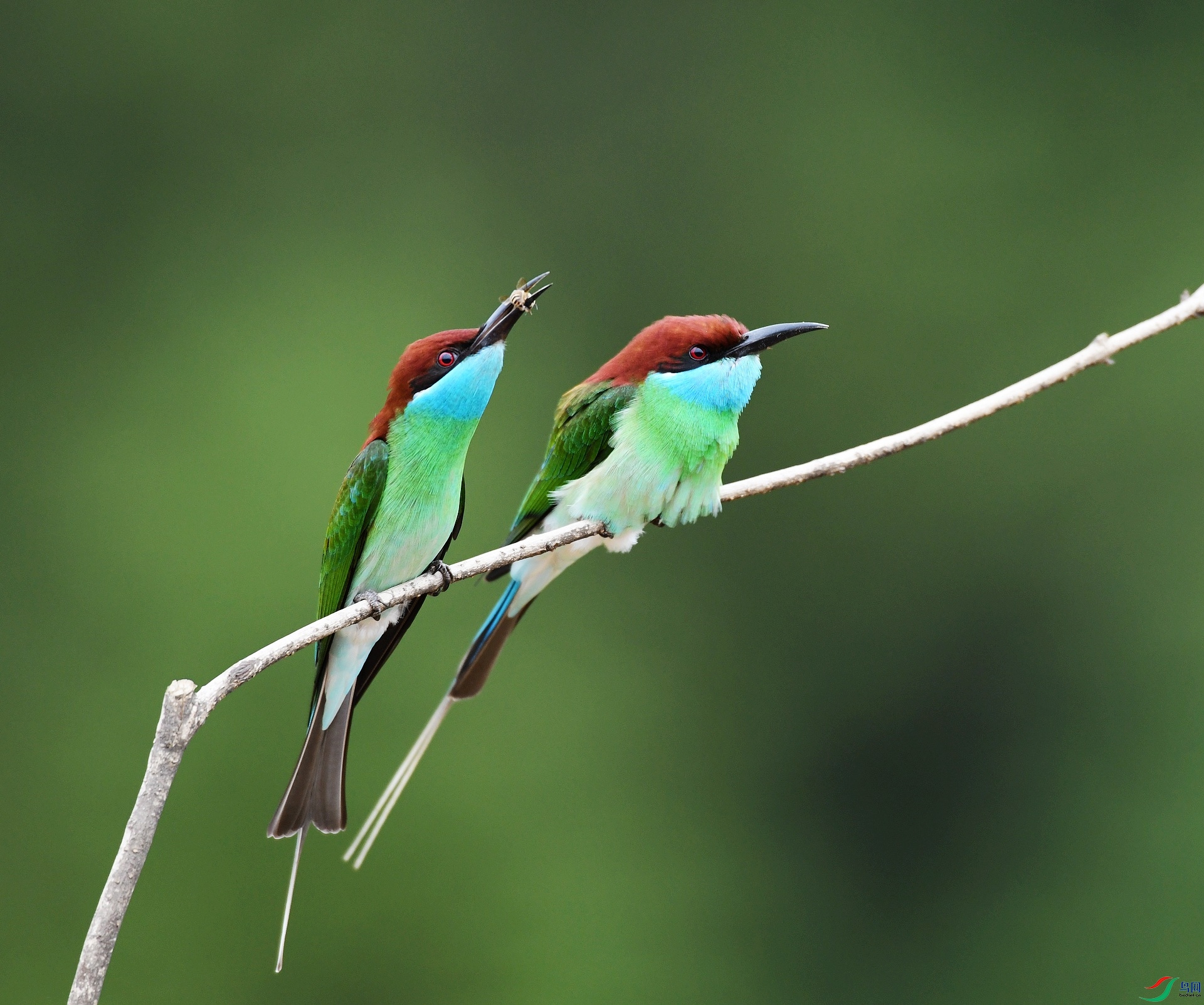 DSC_2200.jpg