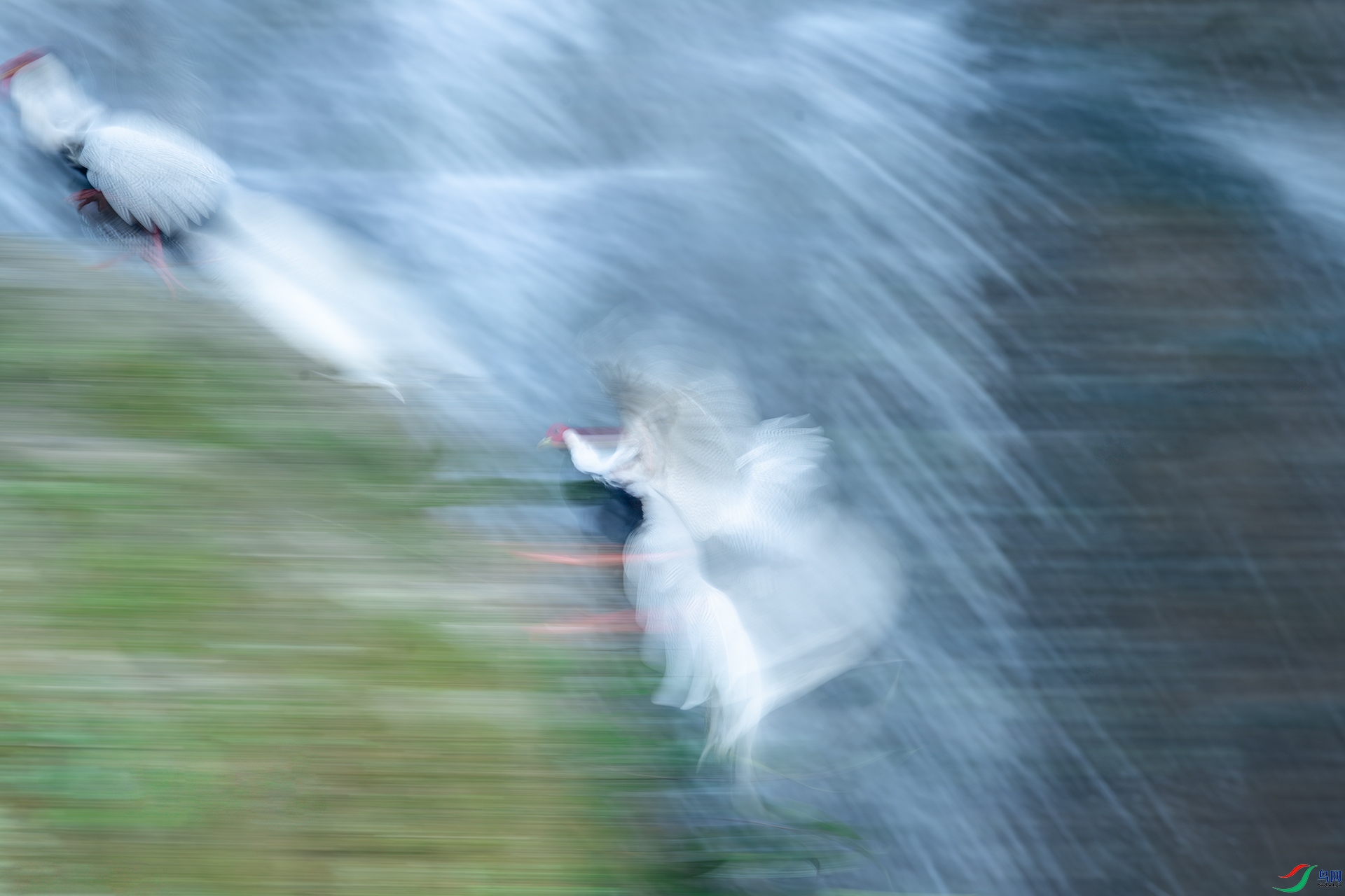 DSC_3813.jpg