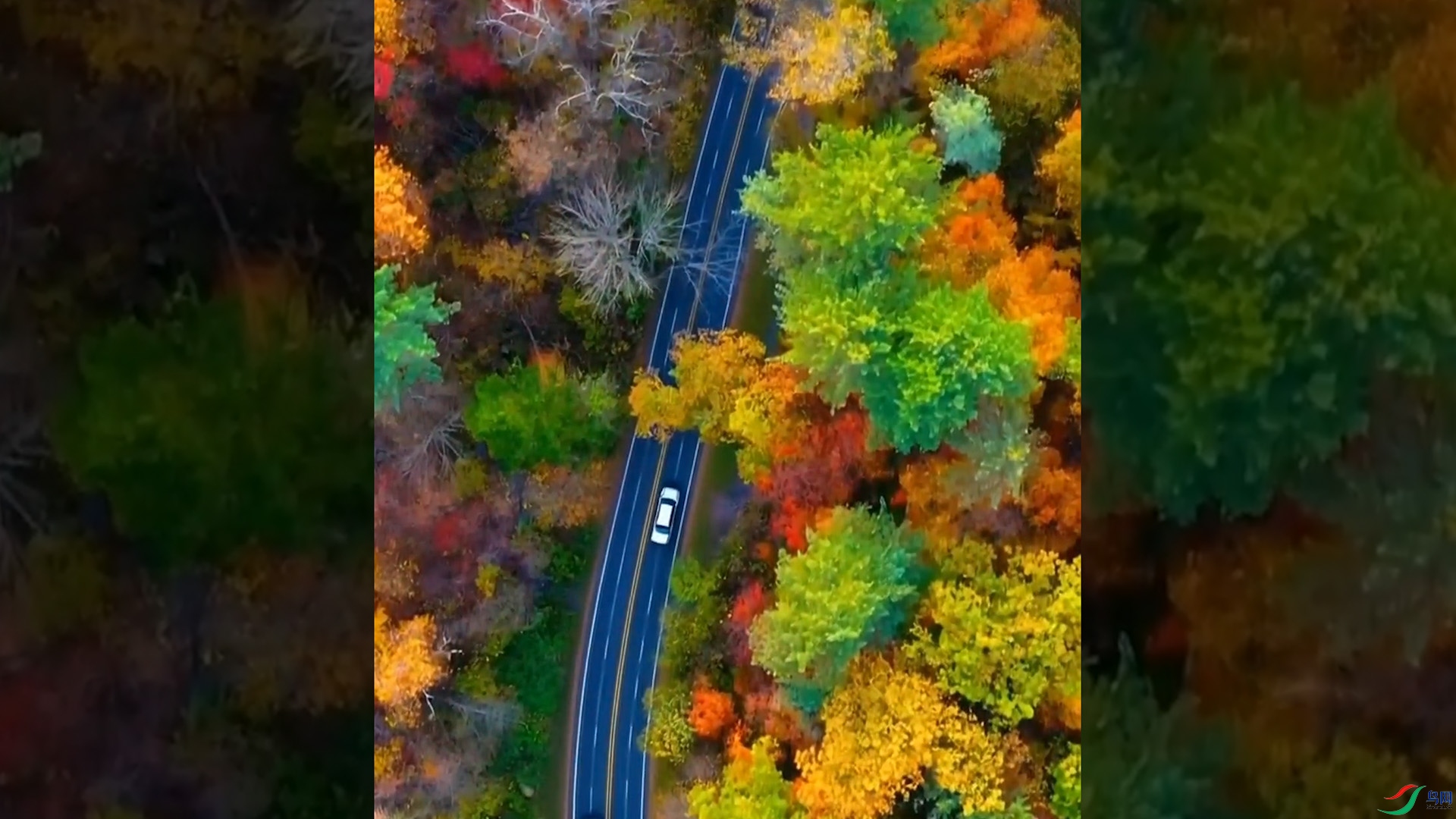 ��ɫ.00_00_19_55.Still001.jpg