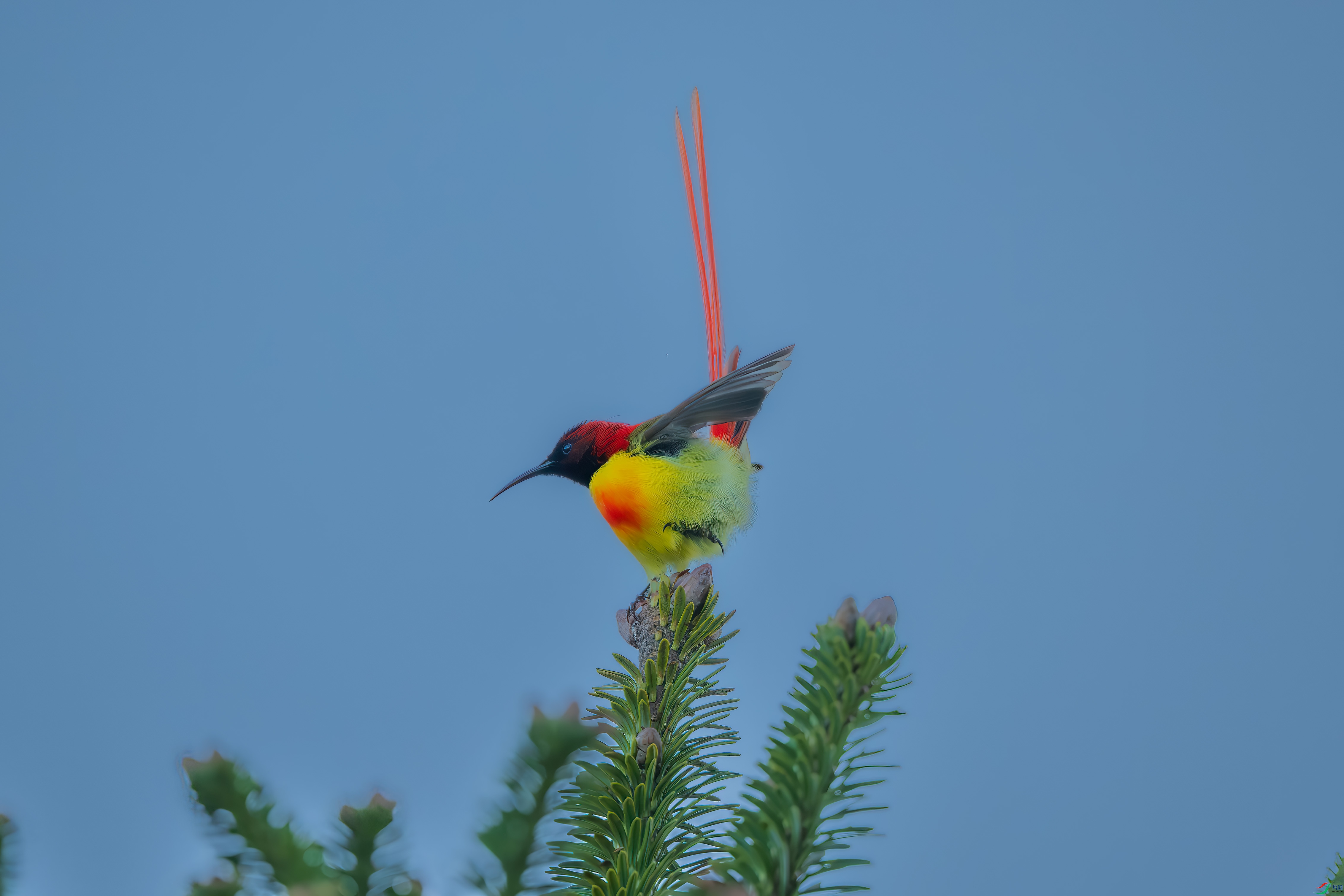 _DSC6862.jpg