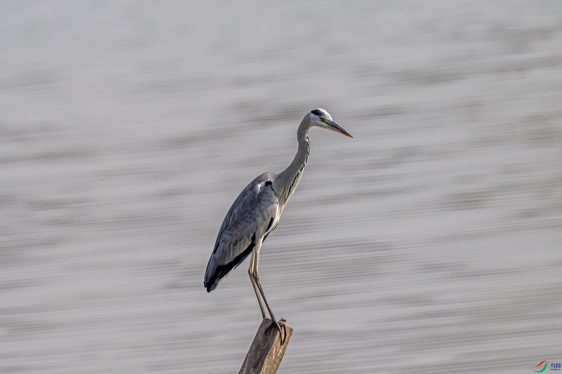 DSC_6173-11.jpg