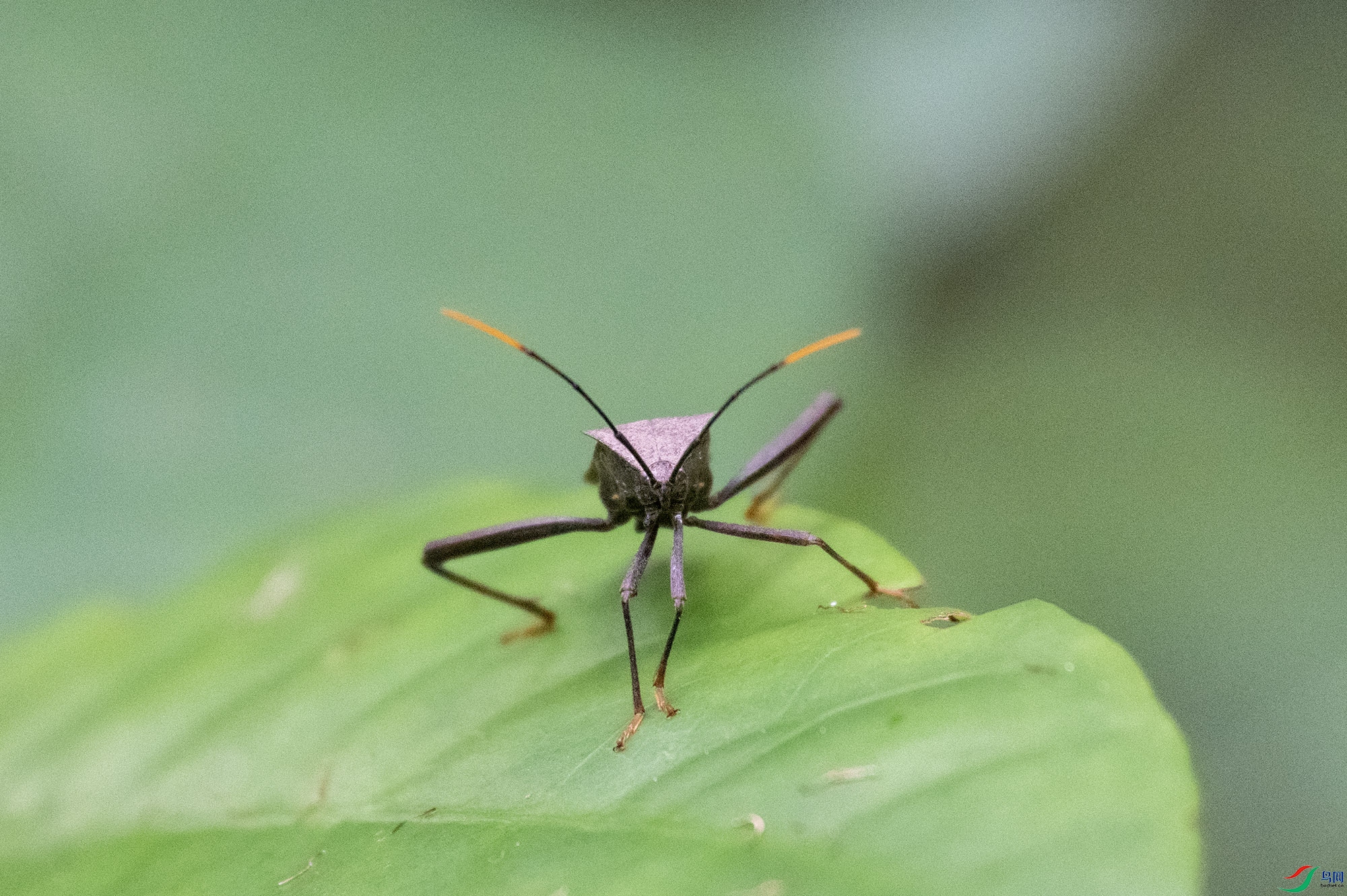 DSC_6673.jpg