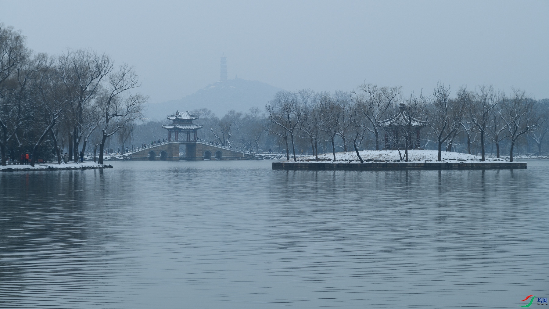 DSC_8458.JPG