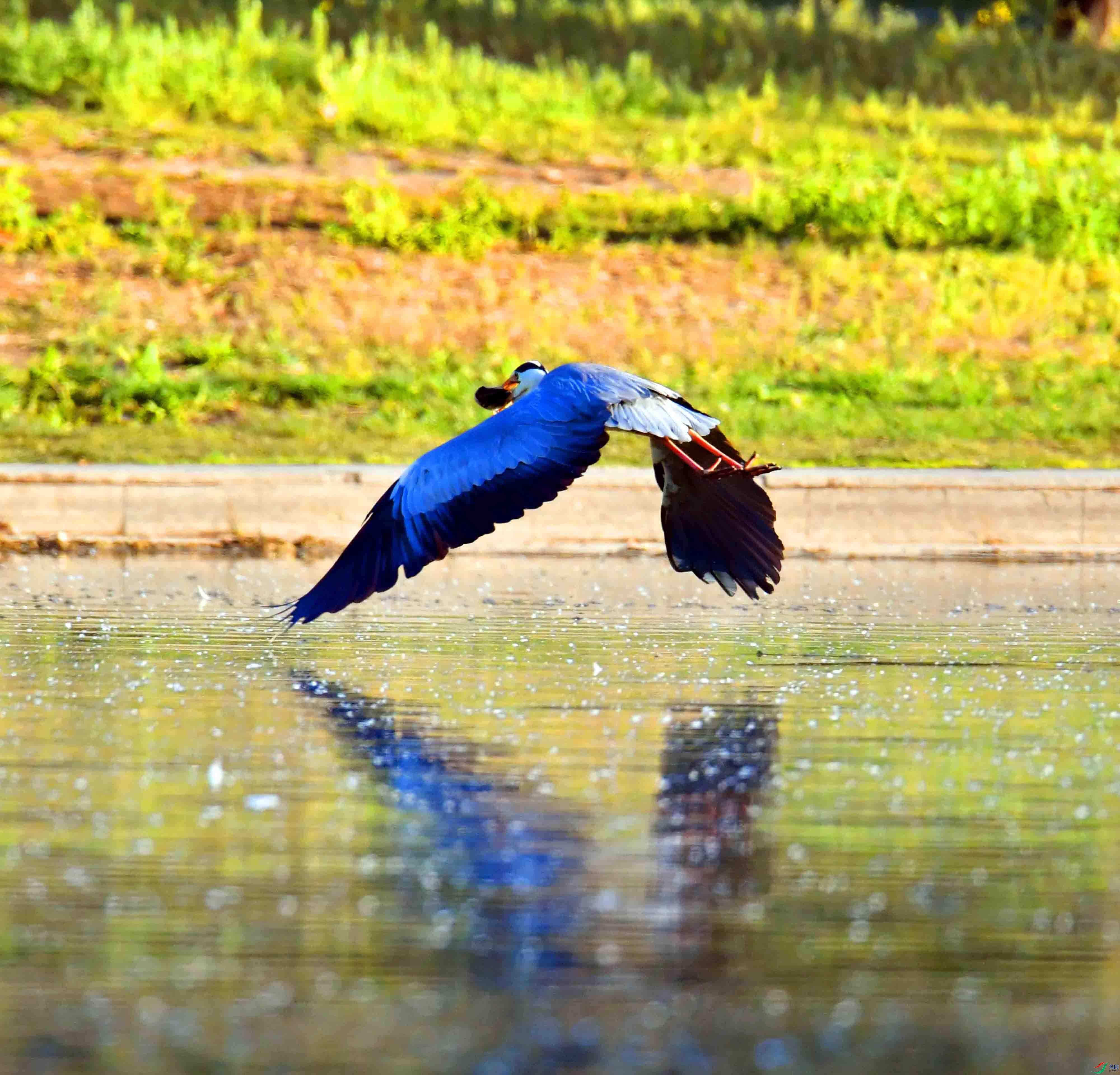 DSC_2170.JPG