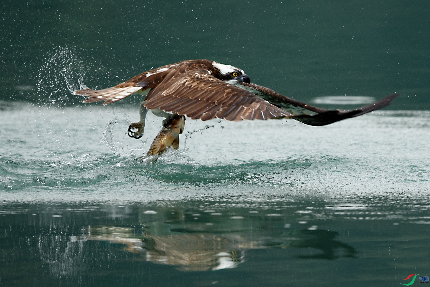 AQ9I7296 ����.jpg