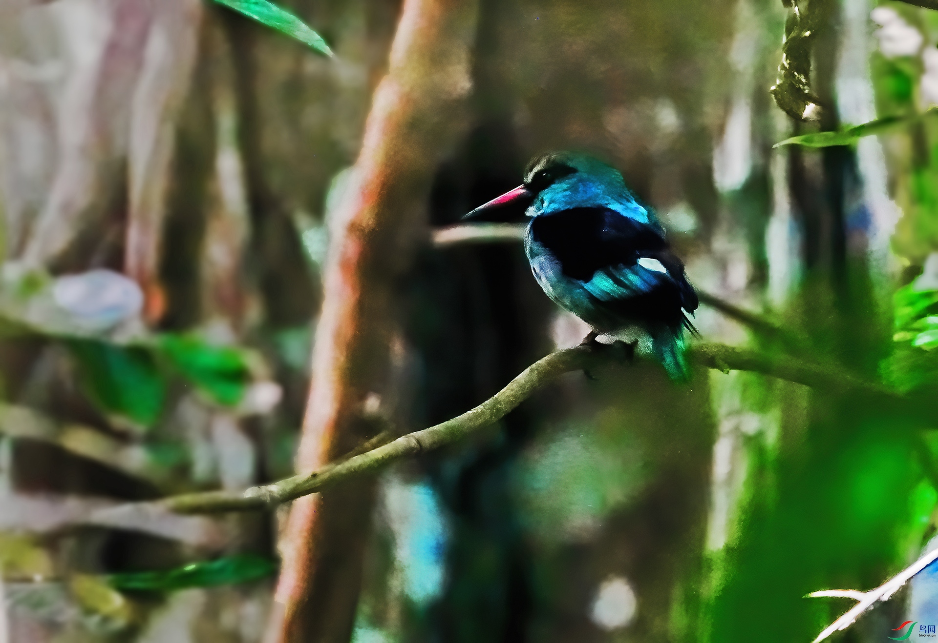 DSC07142-7x.jpg