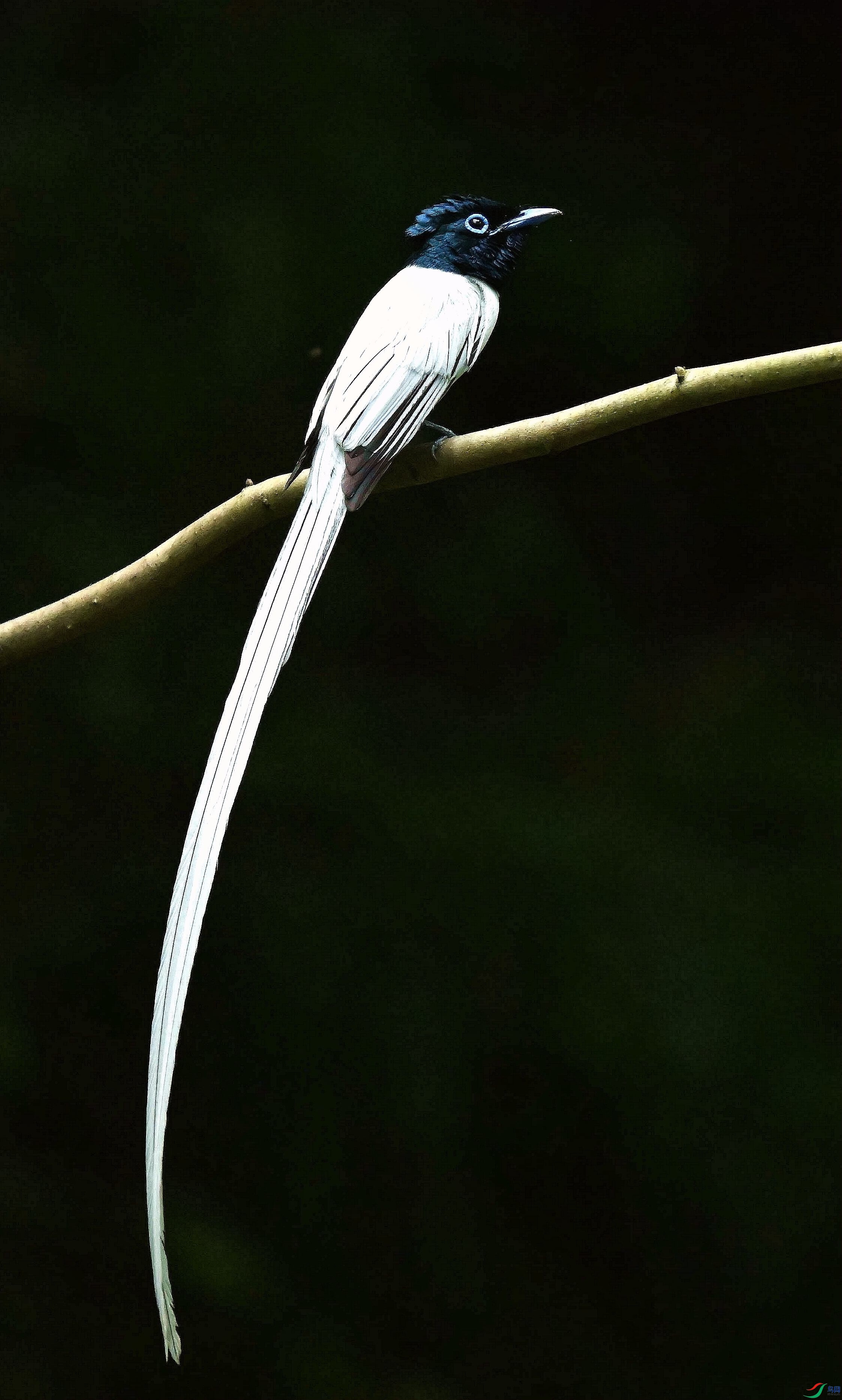 DSC_4107_����.jpg