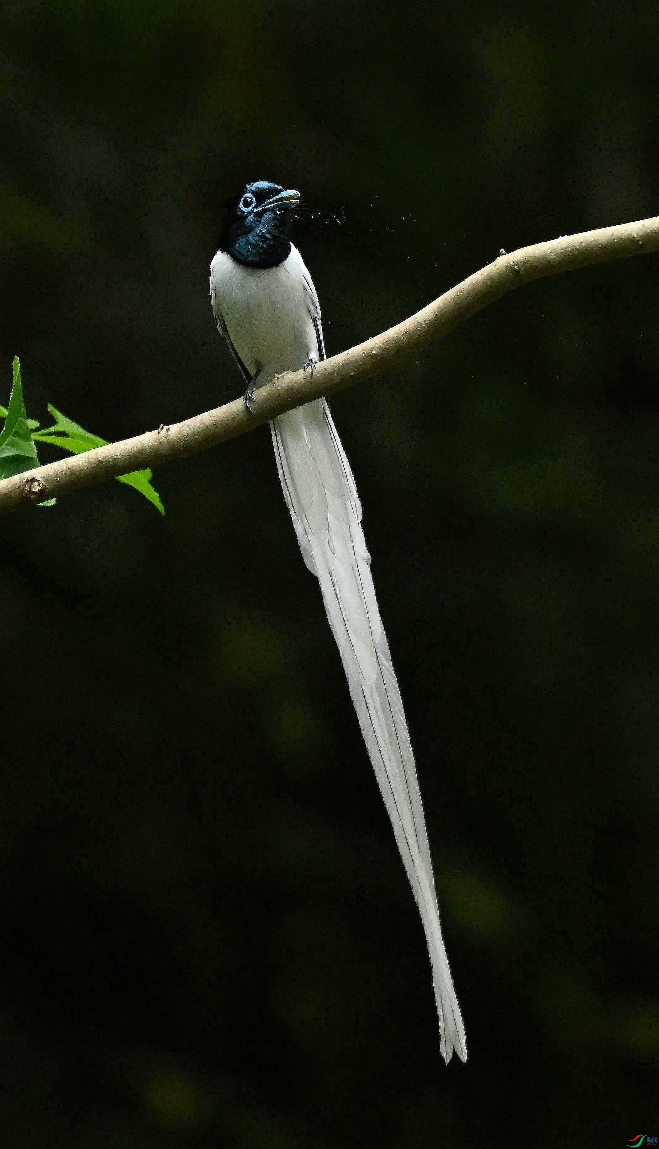 DSC_4277_����.jpg
