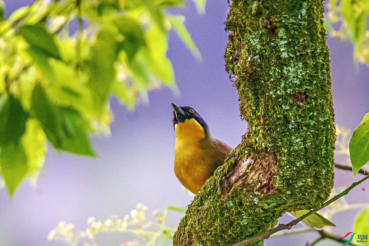 DSC_2368.jpg