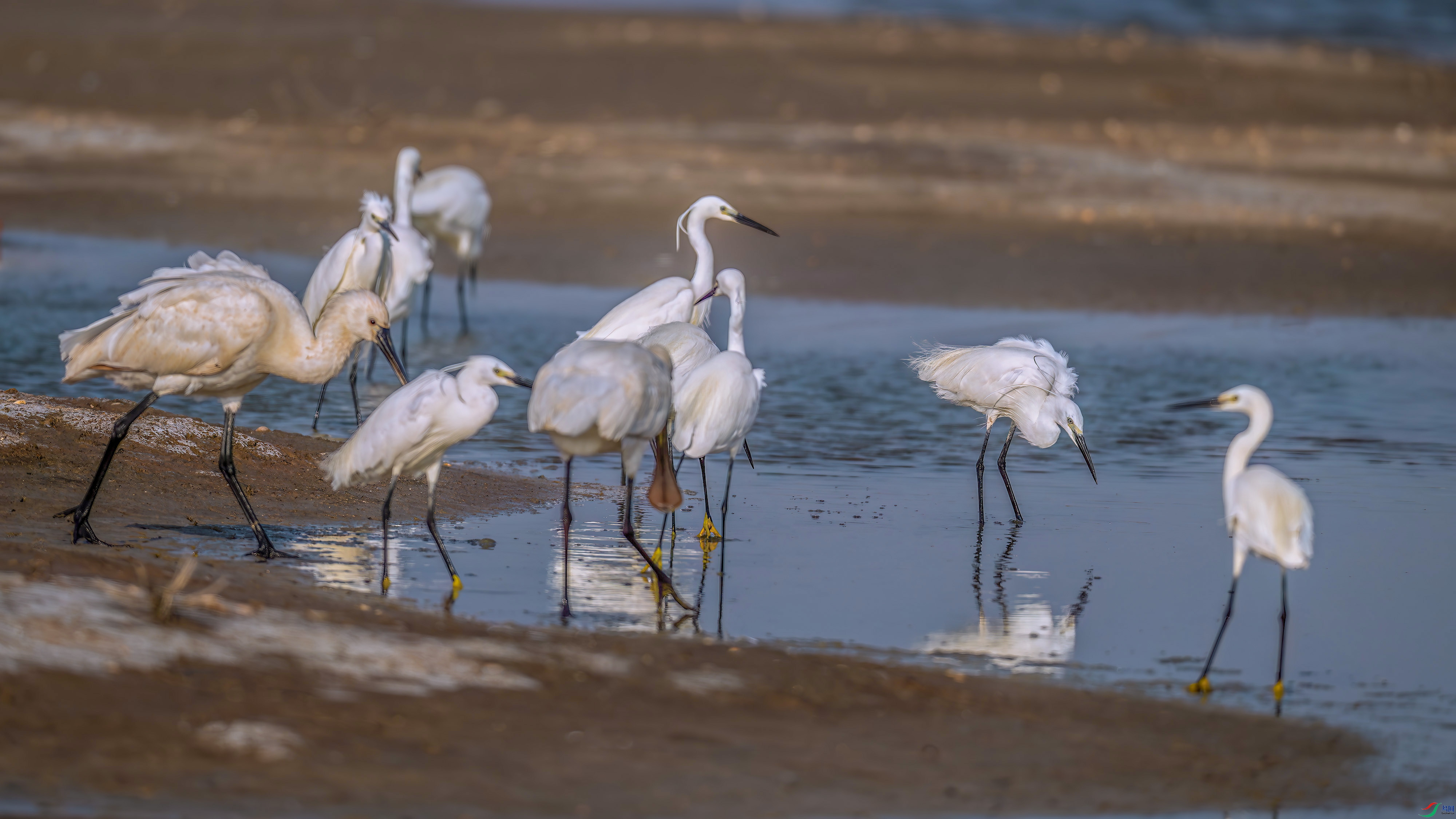 DSC_6505.jpg