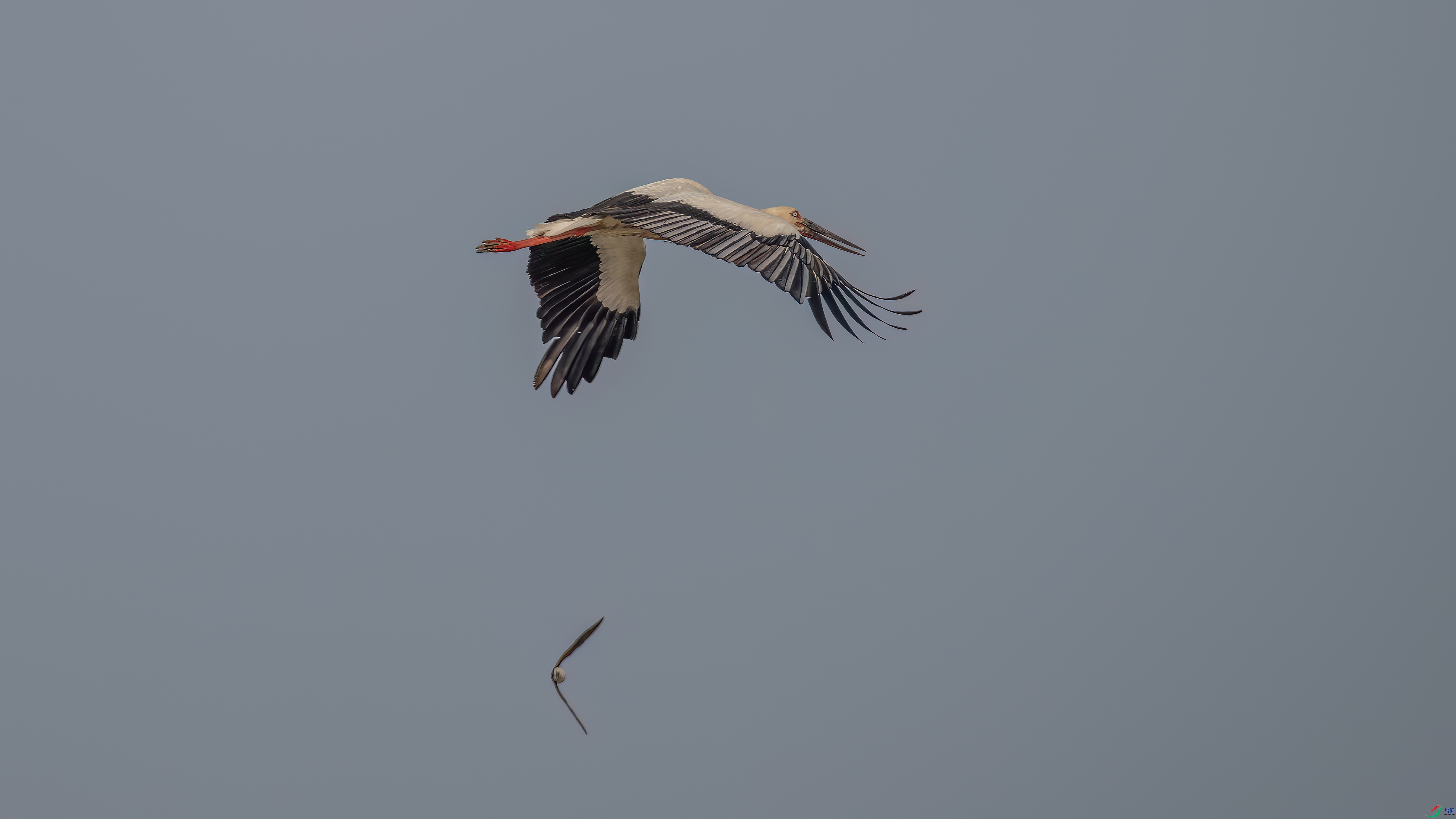 DSC_6365.jpg