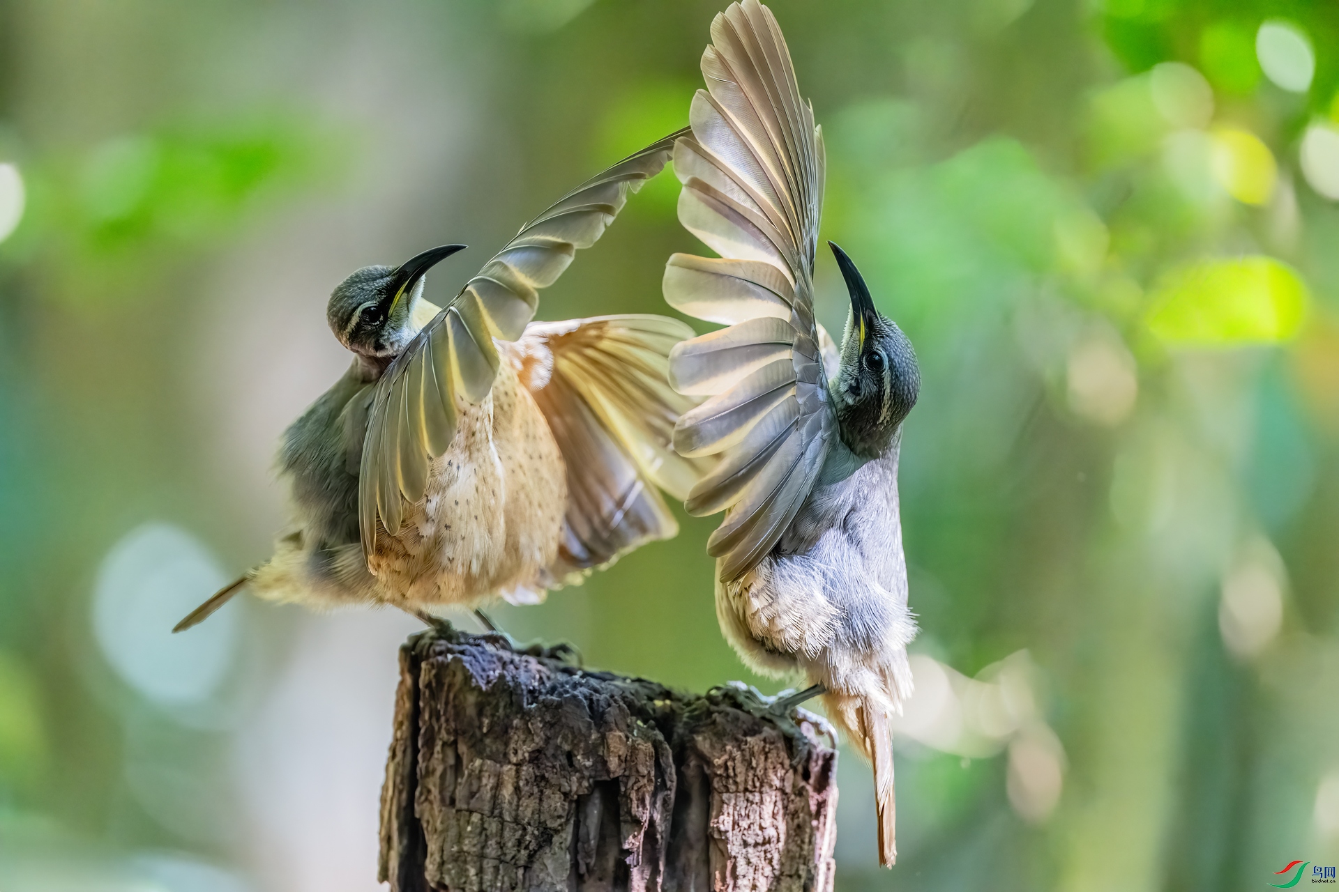 DSC_2160.jpg