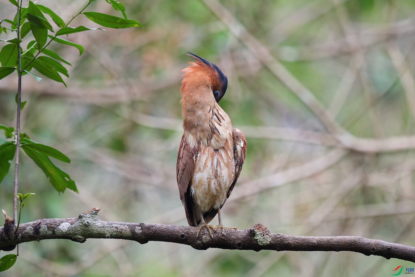 4DSC_7460_DxO_DxOa.jpg