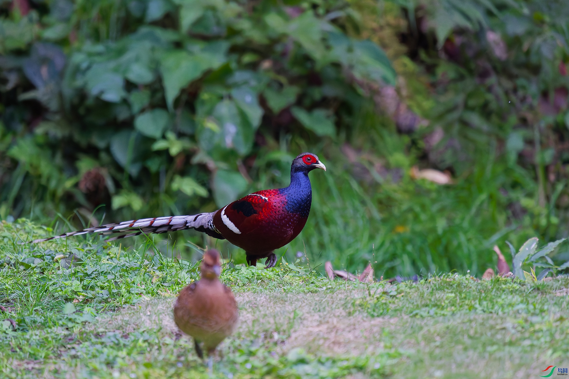 1DSC_8956_DxO_DxOa.jpg