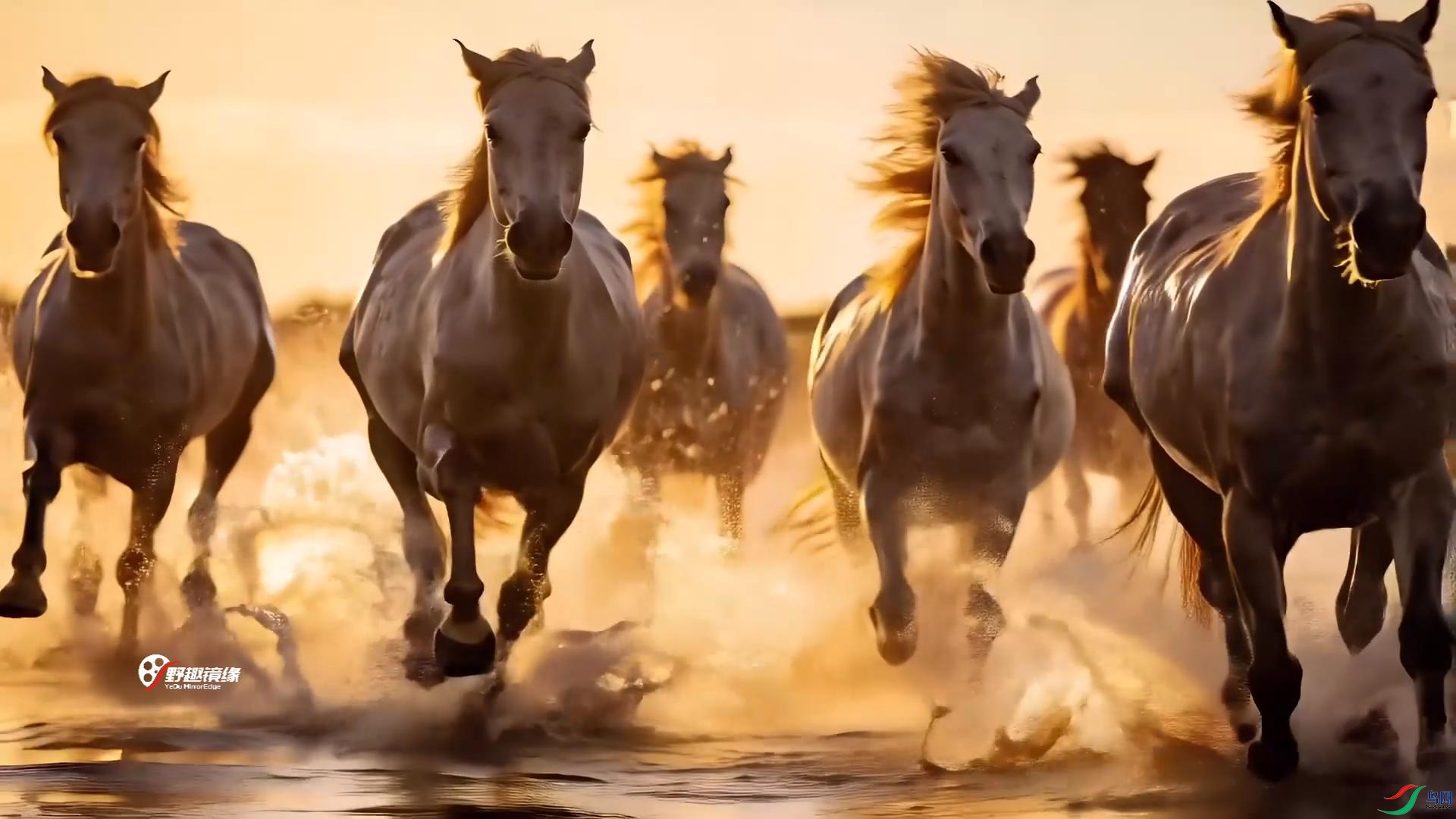 ����_20260523081658.jpg
