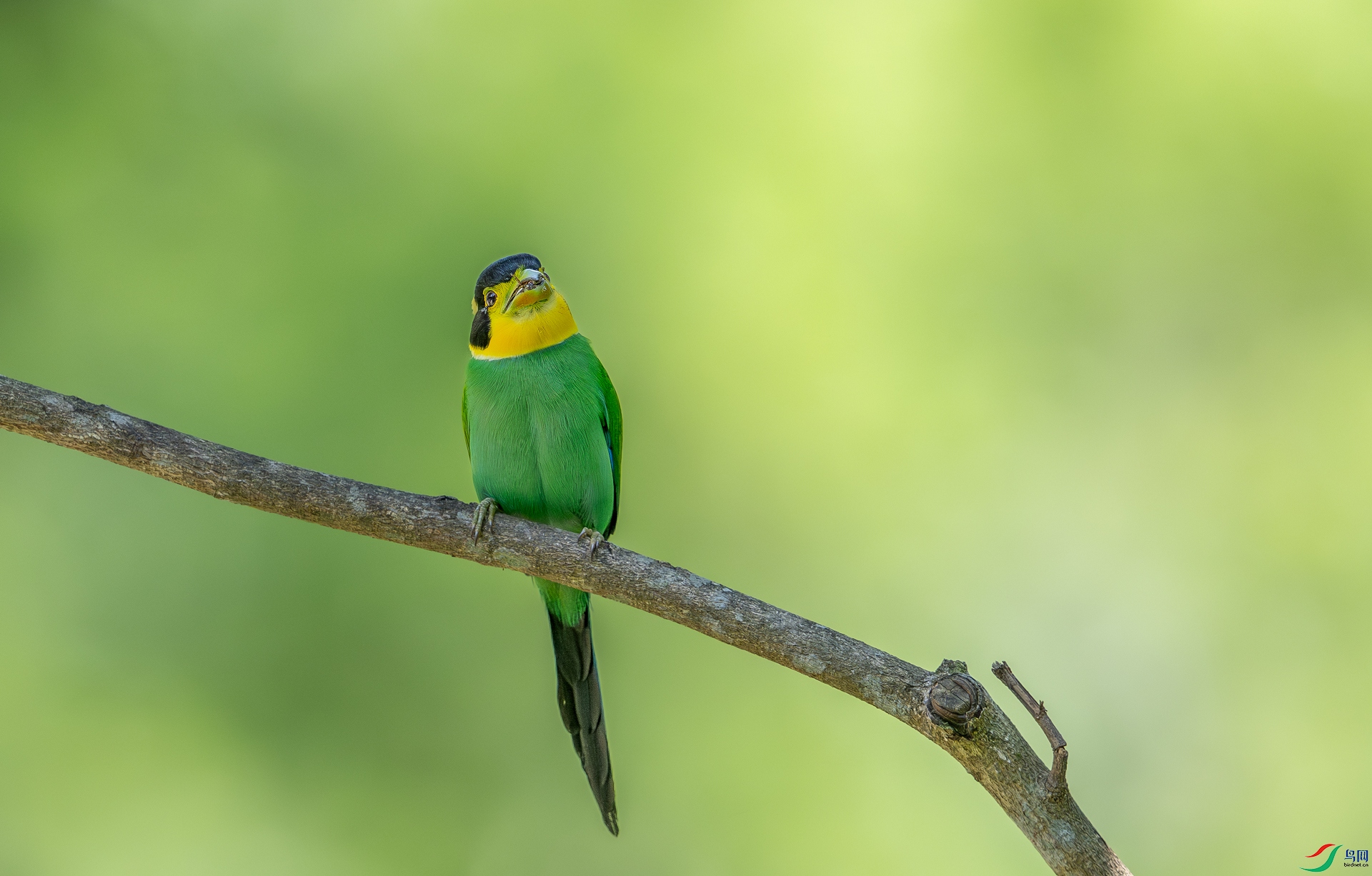 DSC_5004-1.jpg