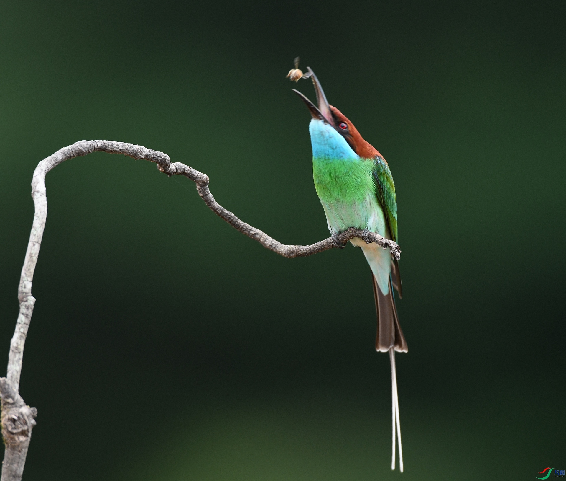 DSC_8274.jpg