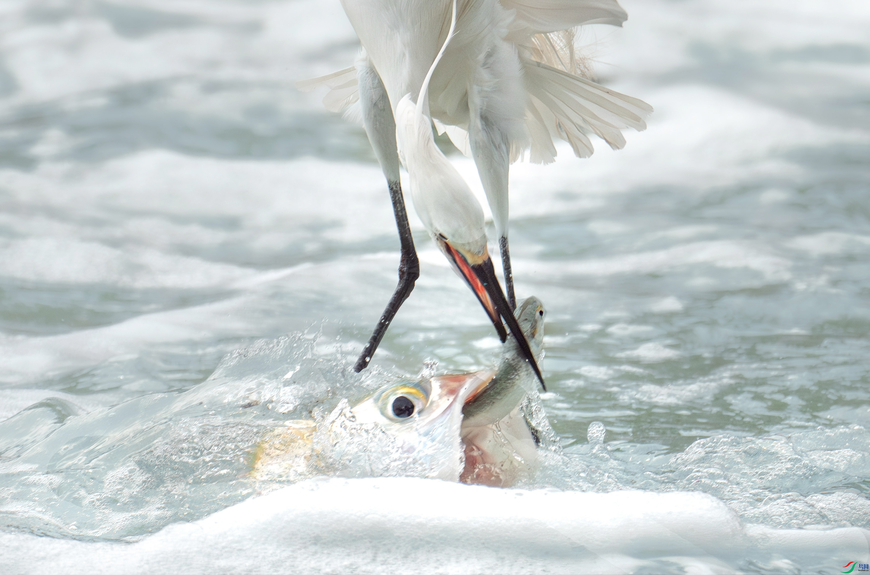 _DSC6088_012219_polarr.jpeg