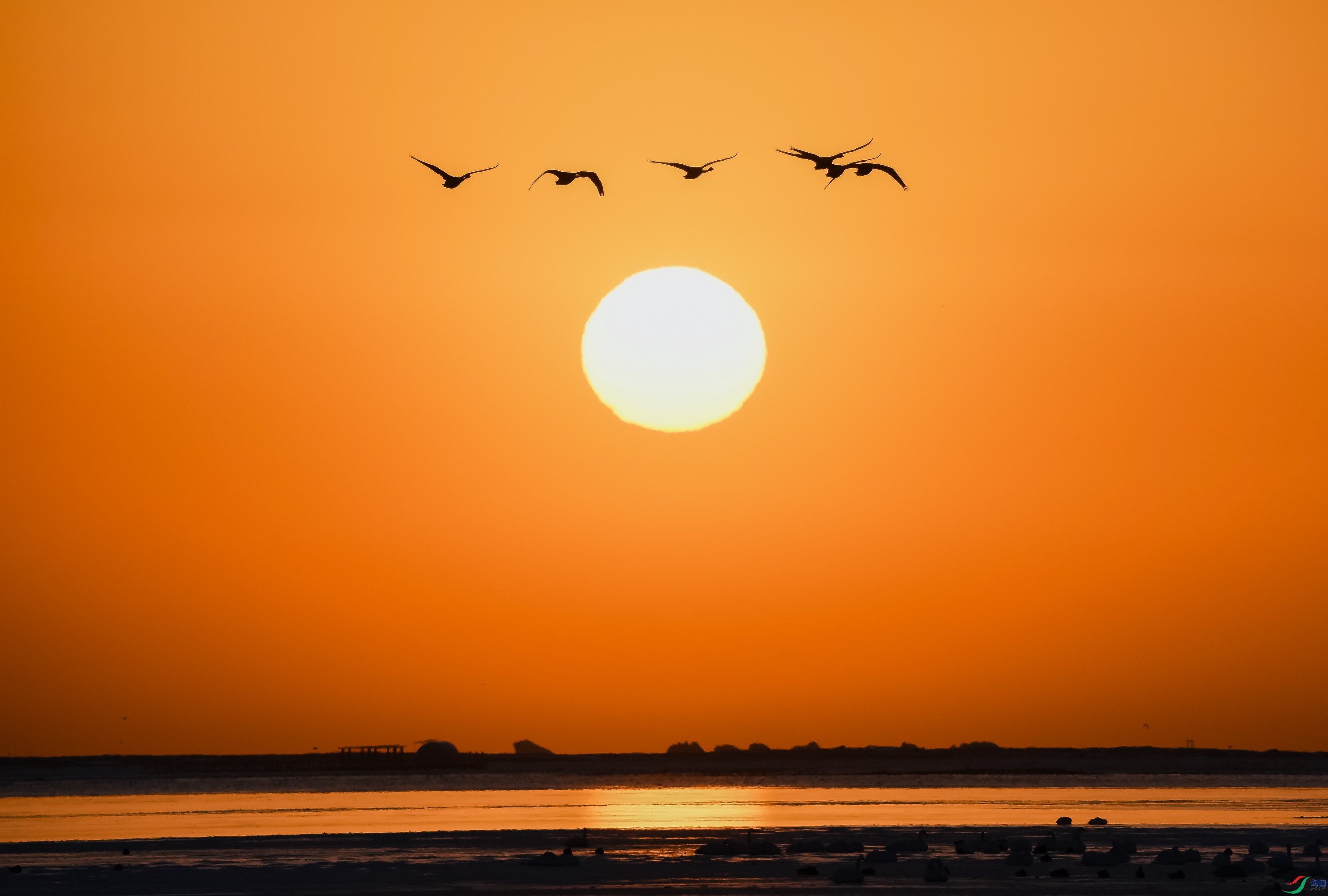 �����-47.jpg