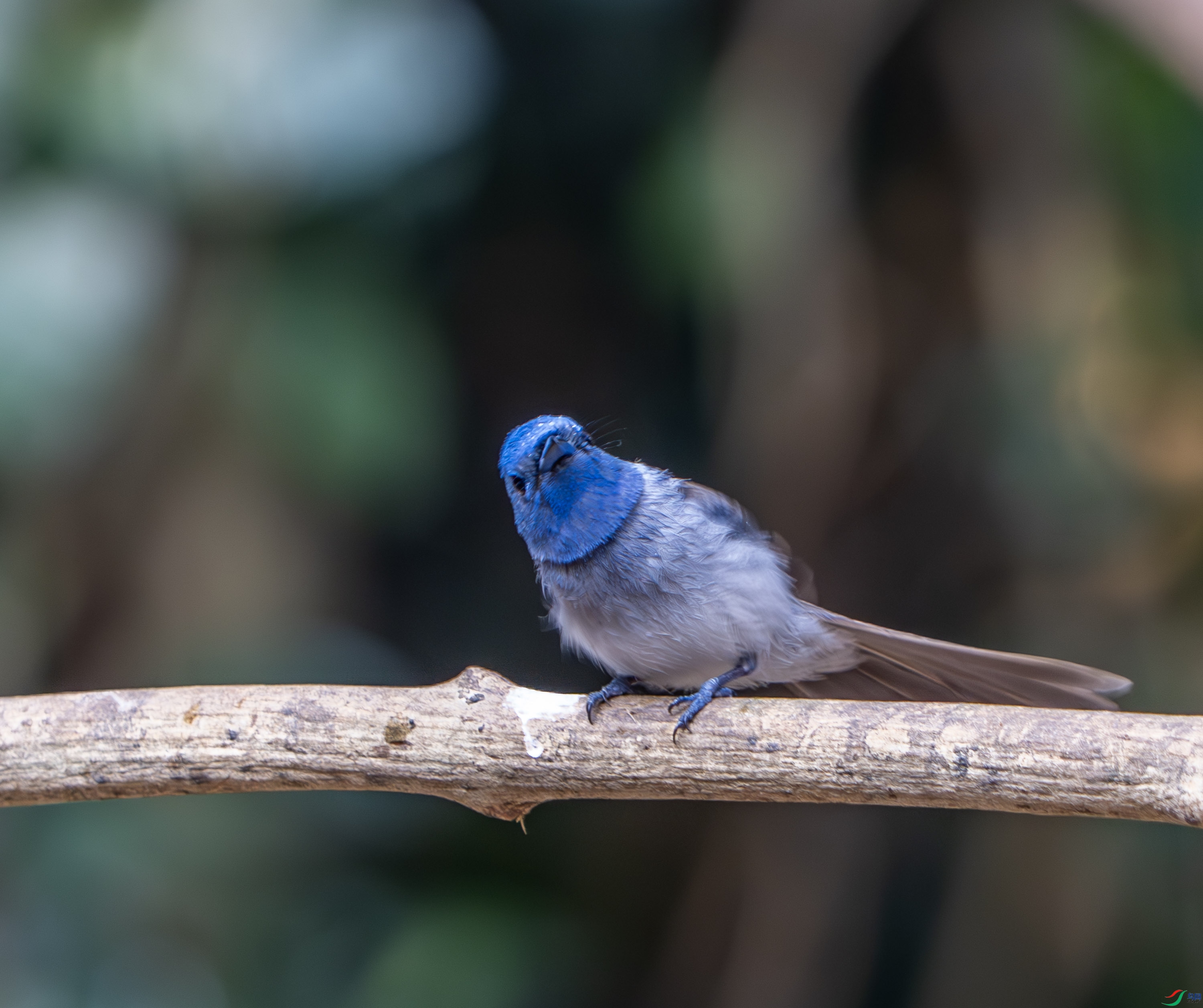 �������l-16.jpg