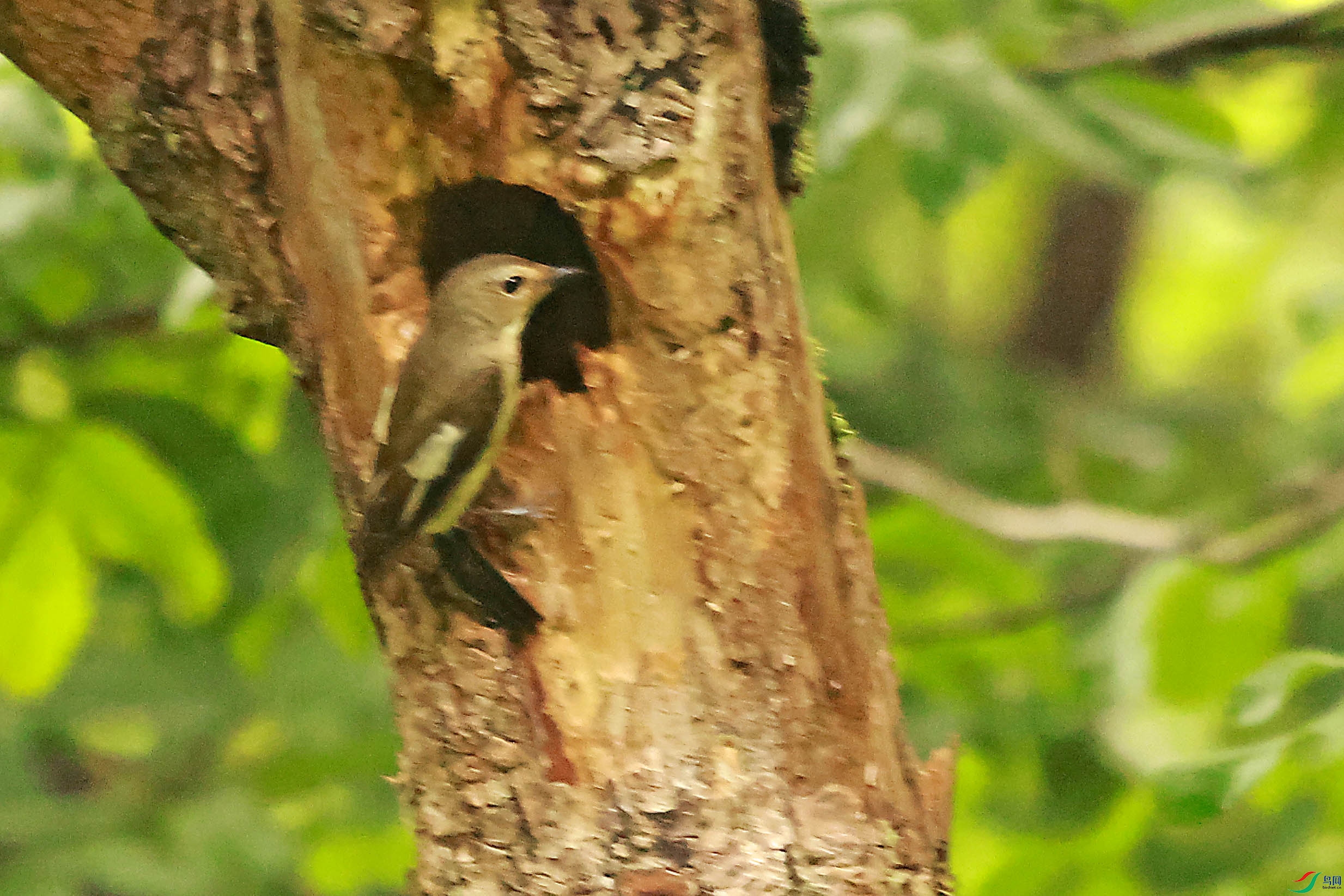 2G9A8786.JPG