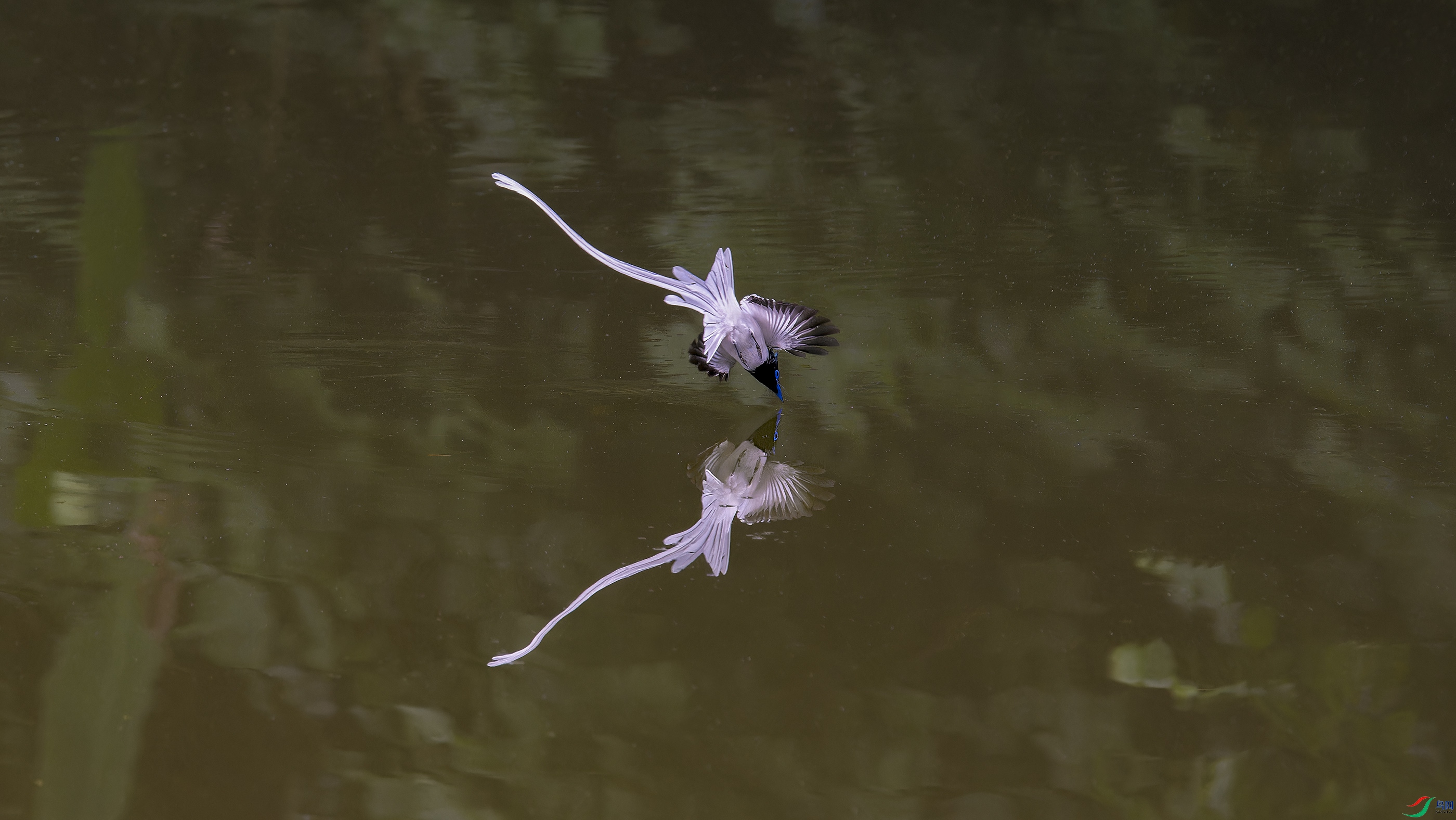 DSC_8820_DxO.jpg