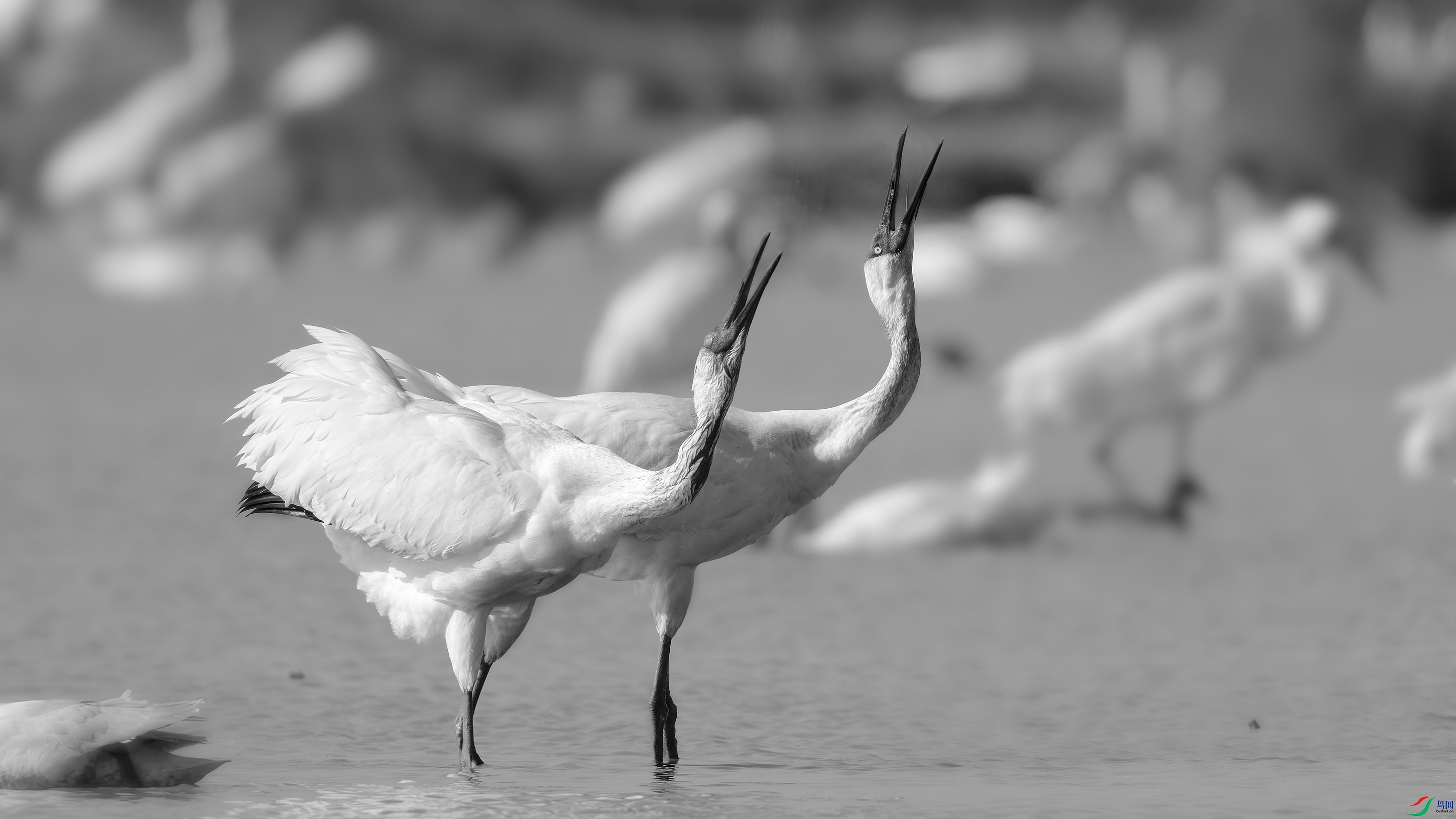 DSC_9202_DxO.jpg