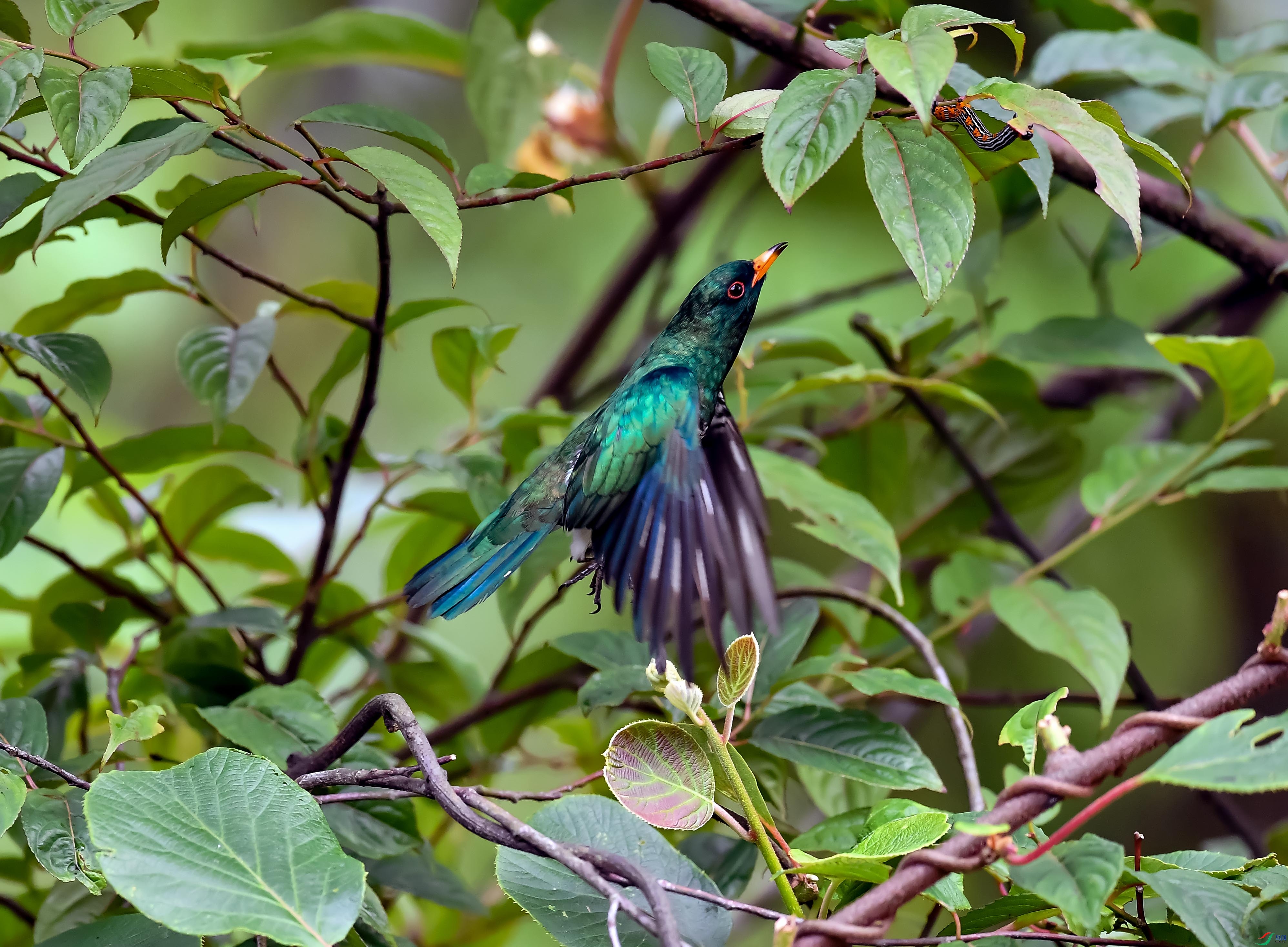 DSC_3021.jpg