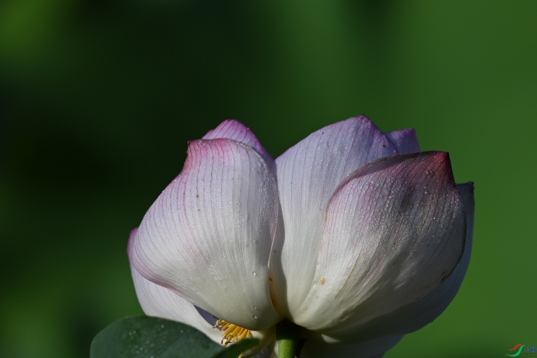 DSC_4109.JPG
