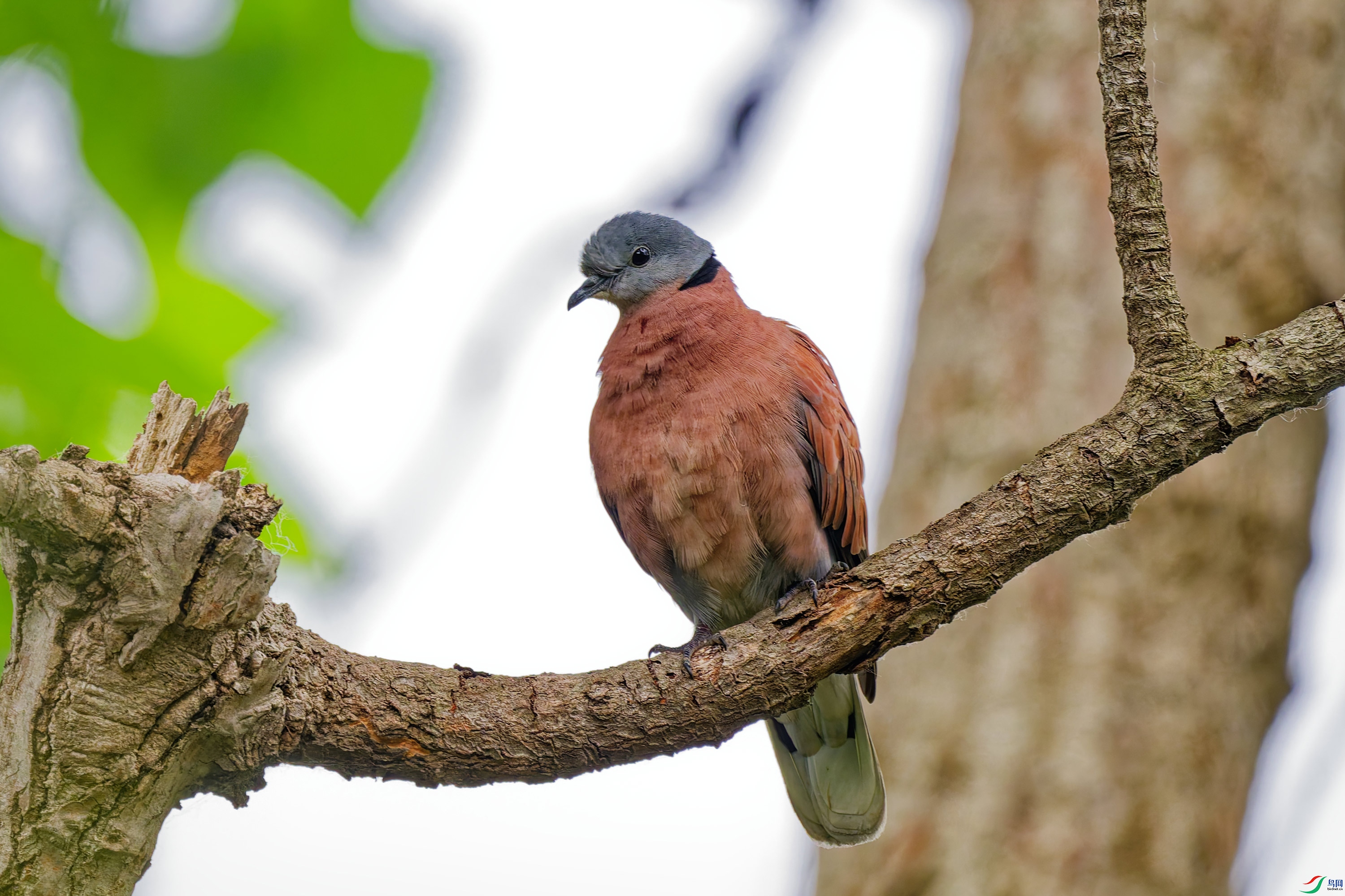 DSC_8114.jpg