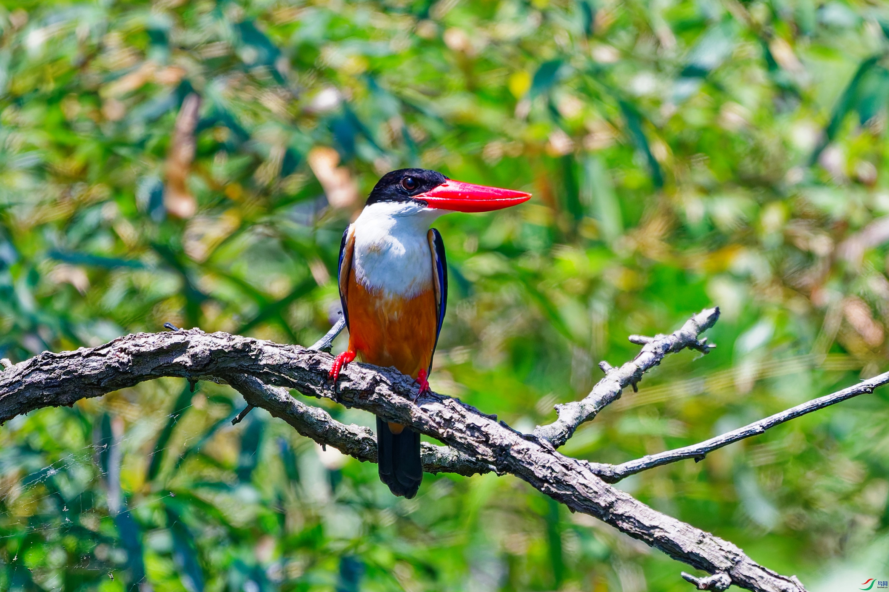 DSC_5299.jpg