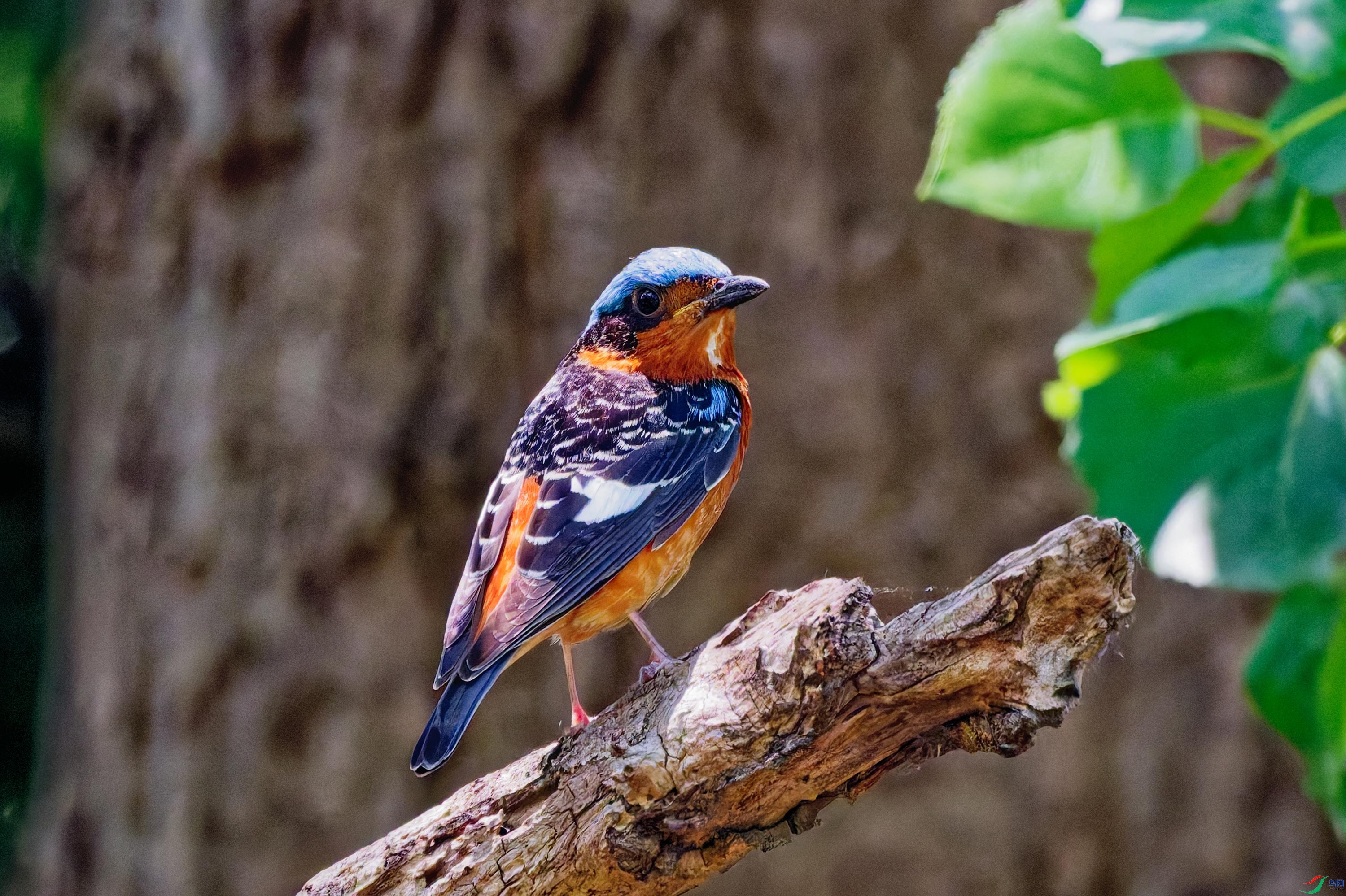 DSC_8705.jpg