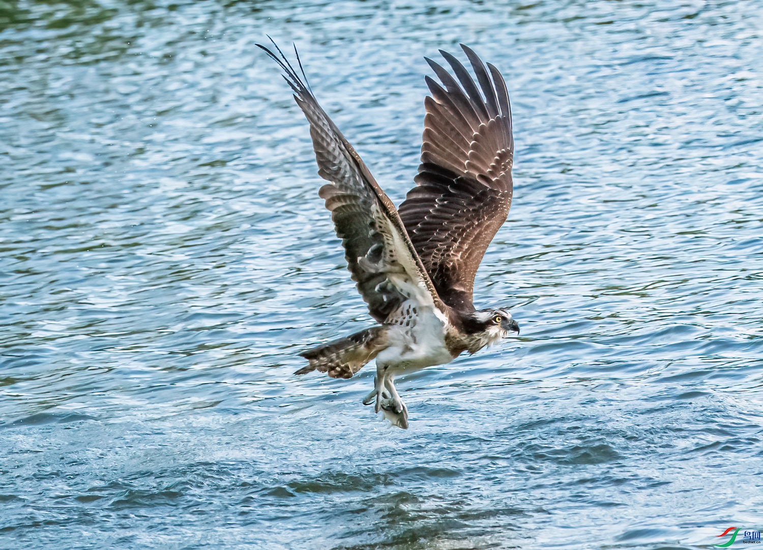 DSC_1704-11.jpg