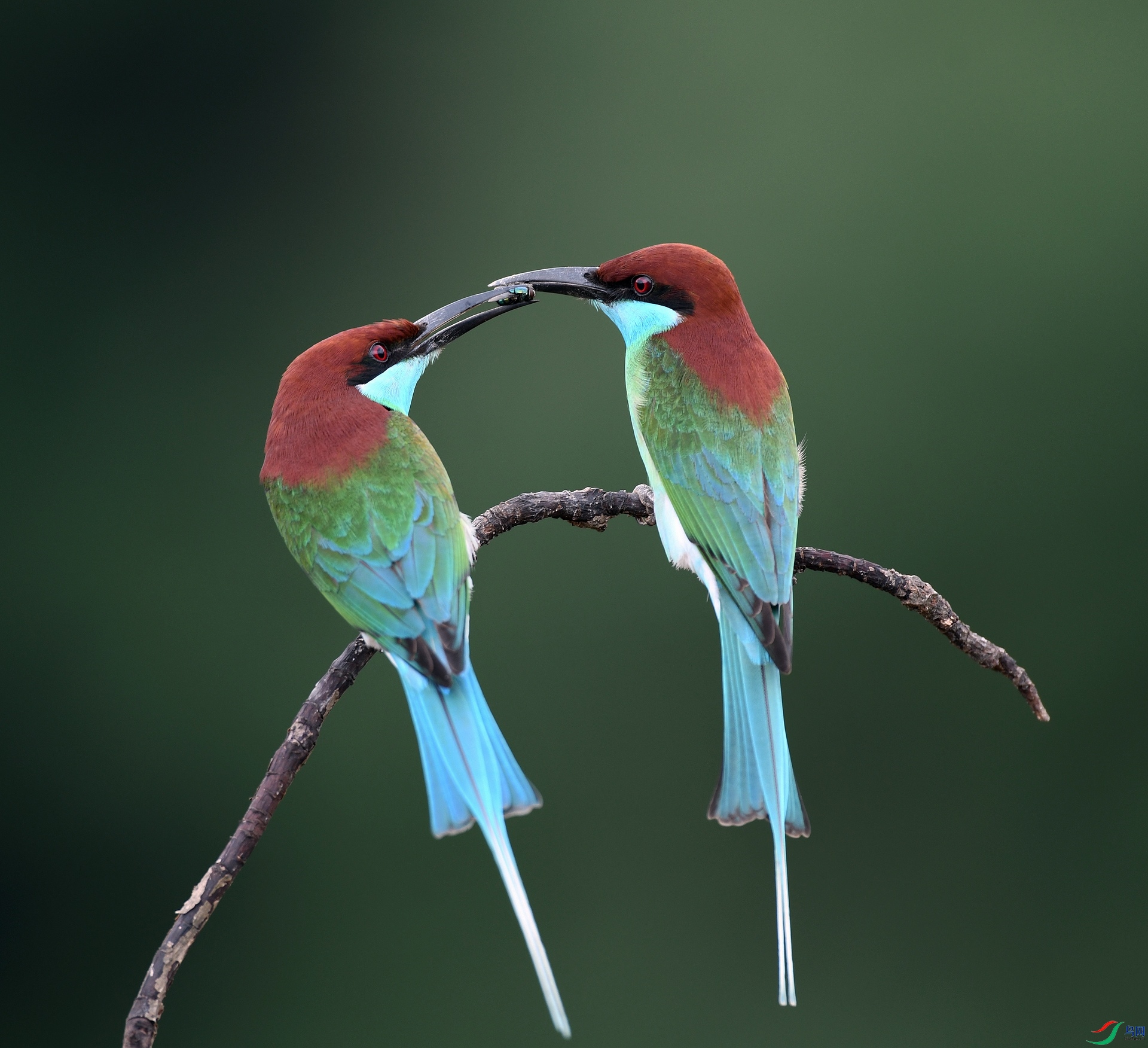 DSC_1073.jpg