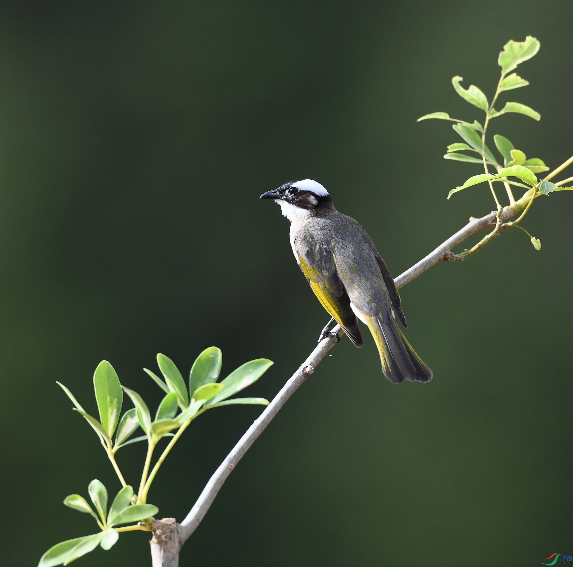 DSC_1667.jpg