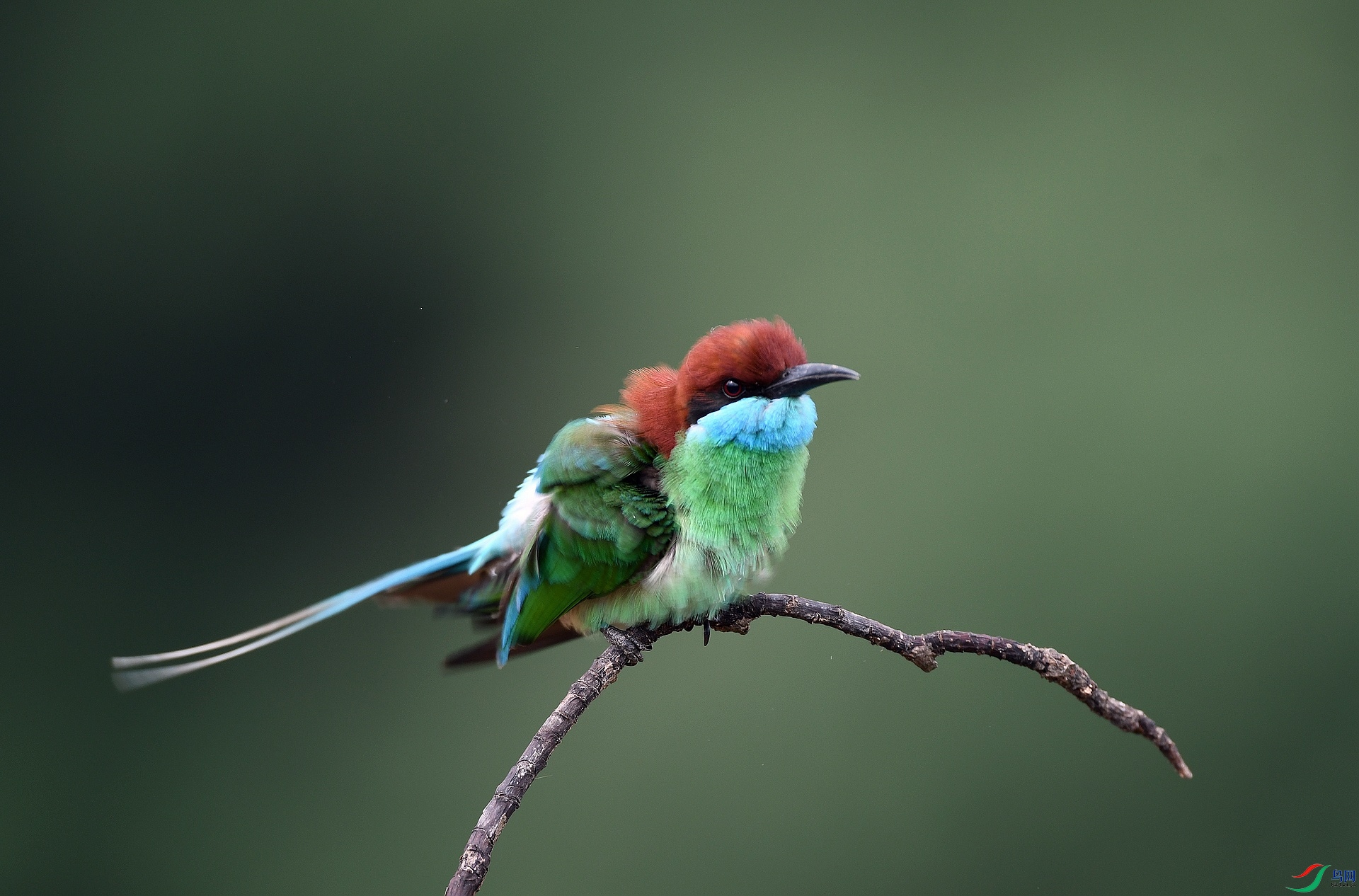 DSC_1287.jpg